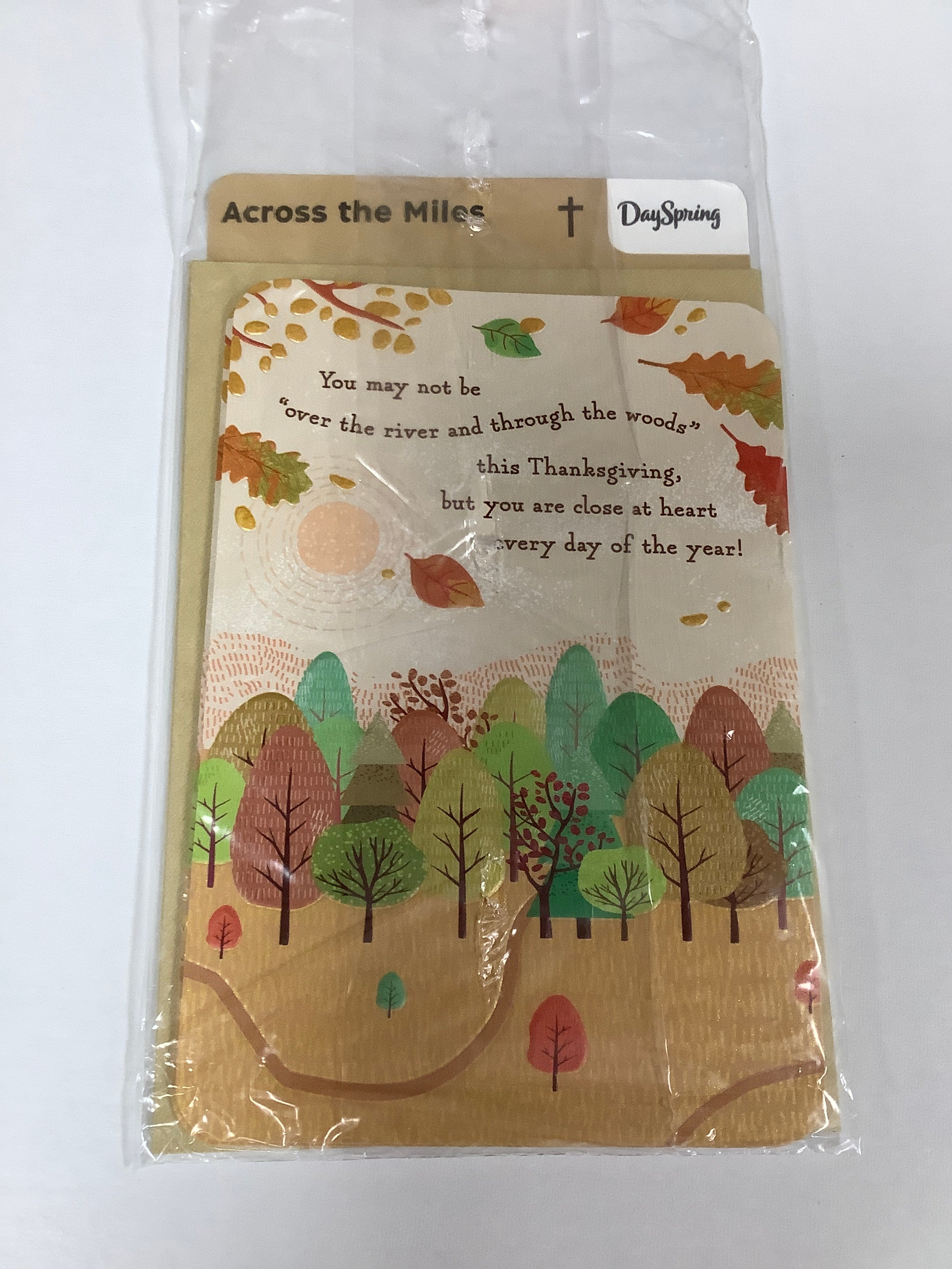 Card-Across The Miles-Thanksgiving-Leaf Path Woods-U4490