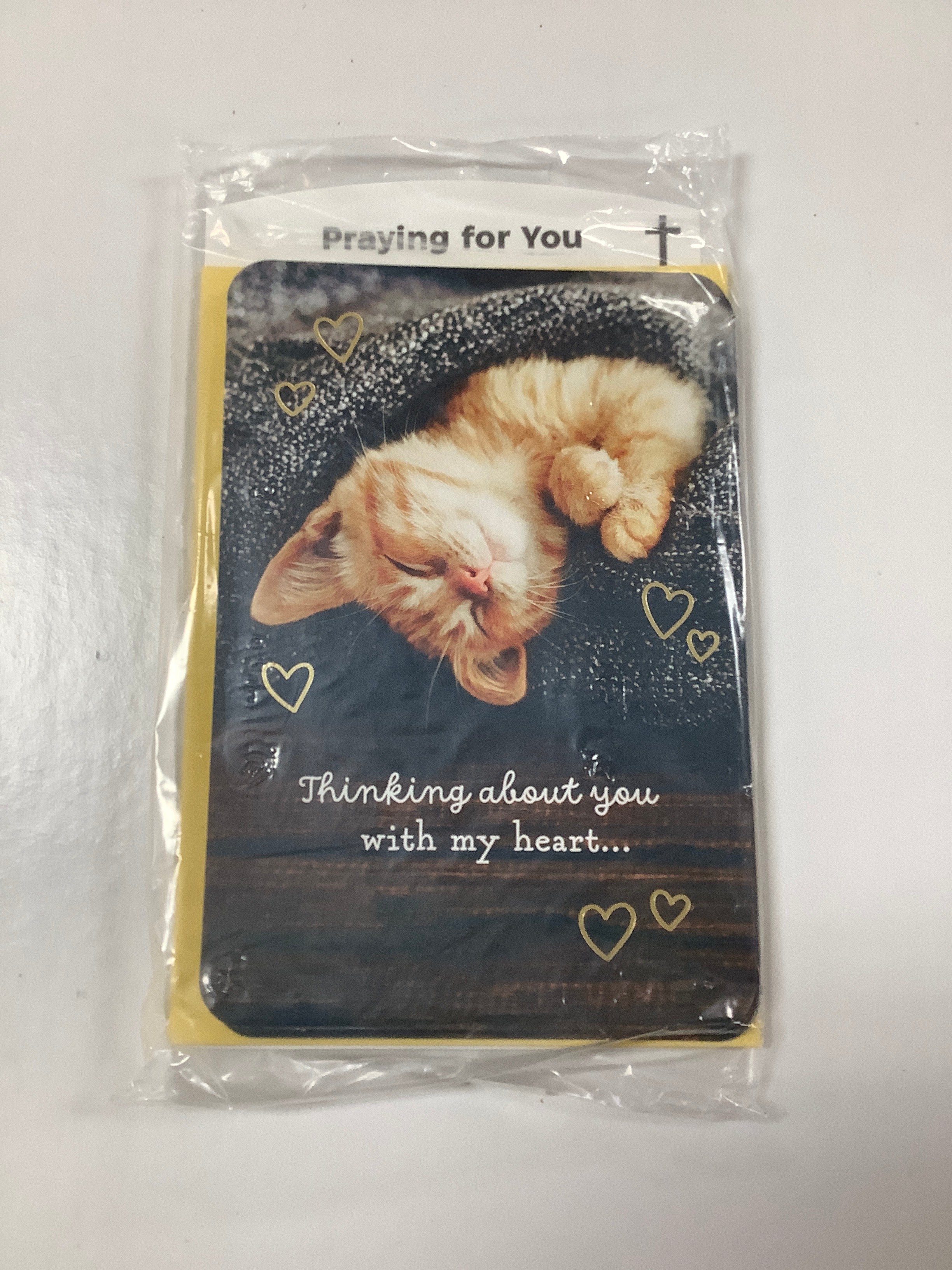 Card-Praying For You-U4887-(WH16)