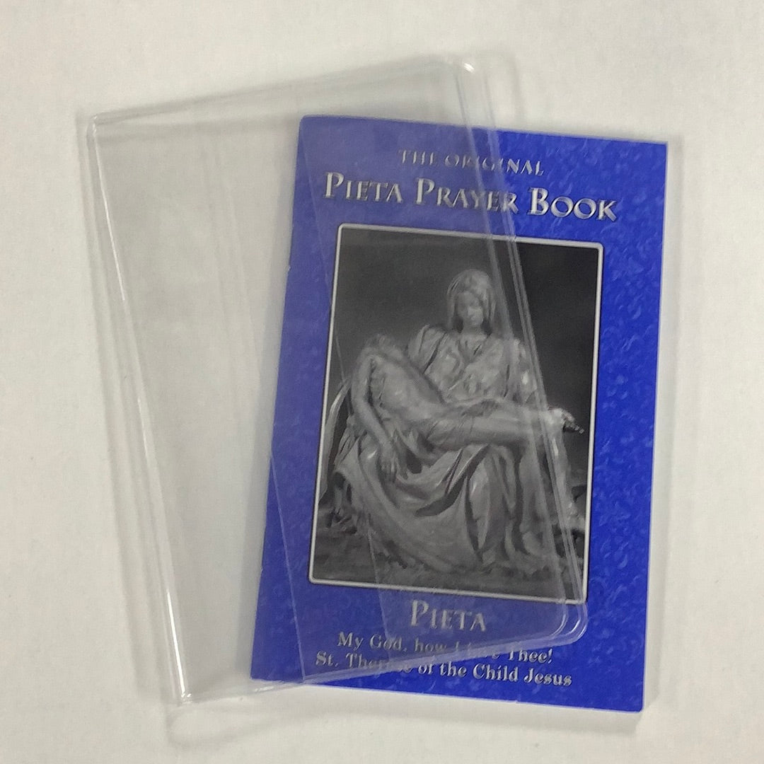 Book Cover/Pieta