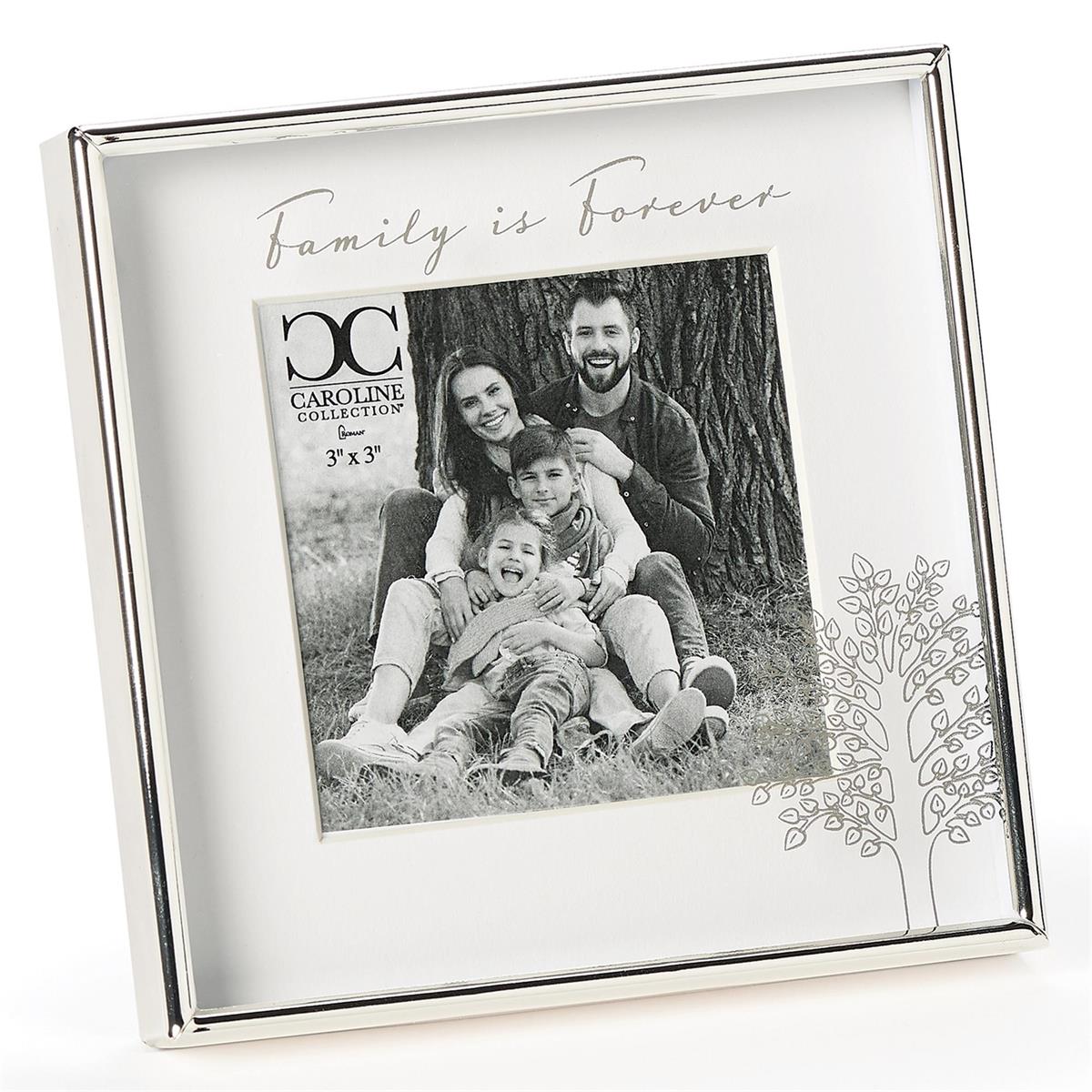 Frame-4.75"-Family Is Forever-3x3 Photo