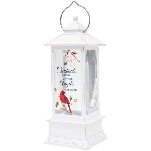 Lantern-Cardinals Appear-Water-glitter