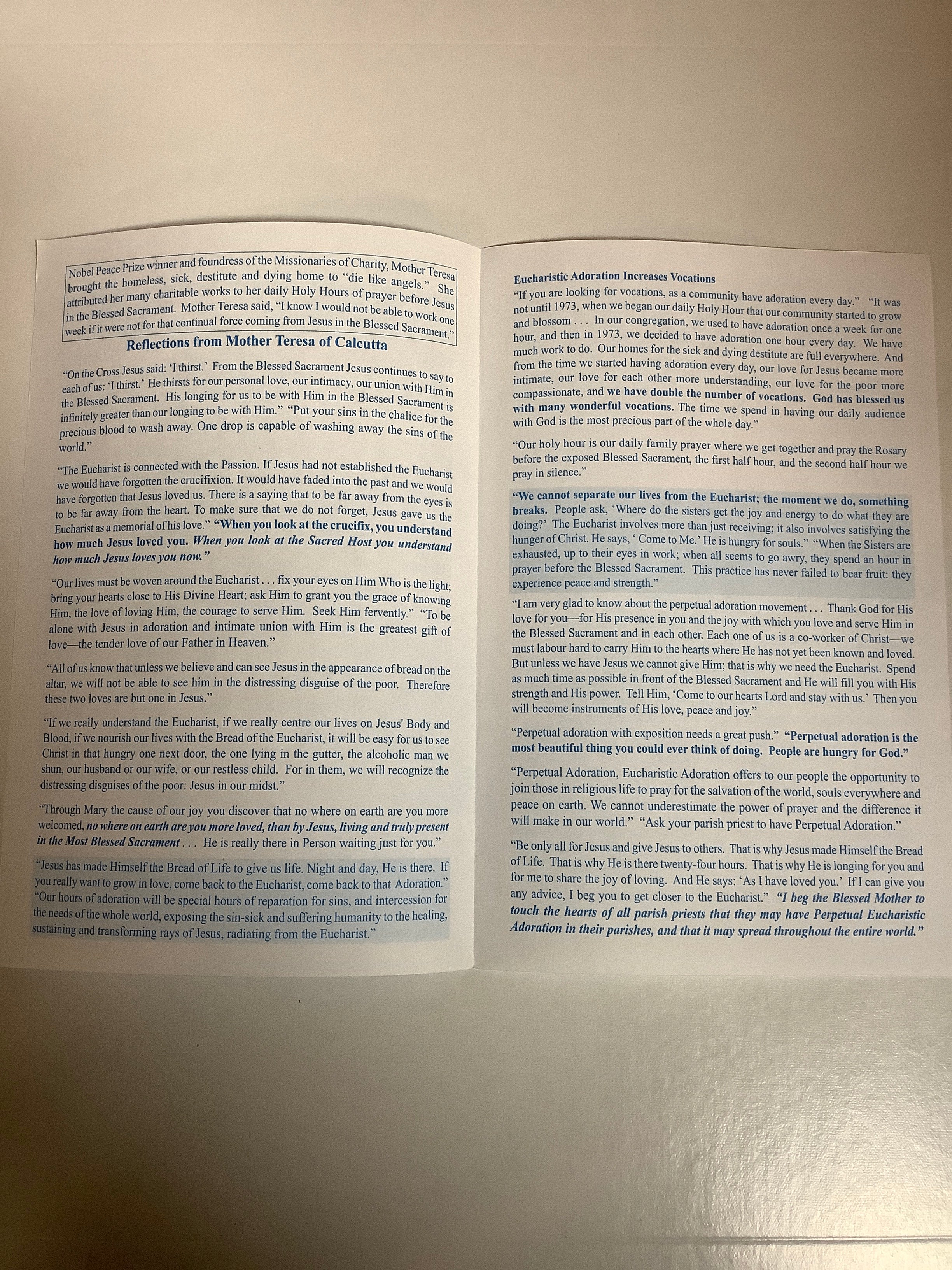 Pamphlet-What Will Save The World-Mother Teresa A-8 Pamphlet