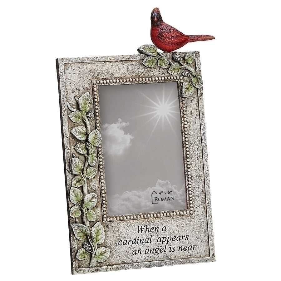 Frame-Cardinal Appears-4x6