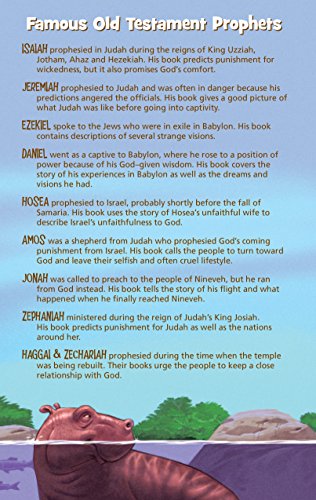 Bible-NIRV-Adventure-Purple