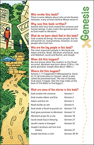 Bible/NIV/Adventure/Hardback