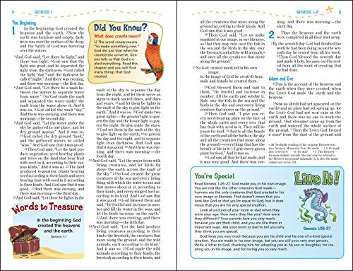 Bible/NIV/Adventure/Hardback