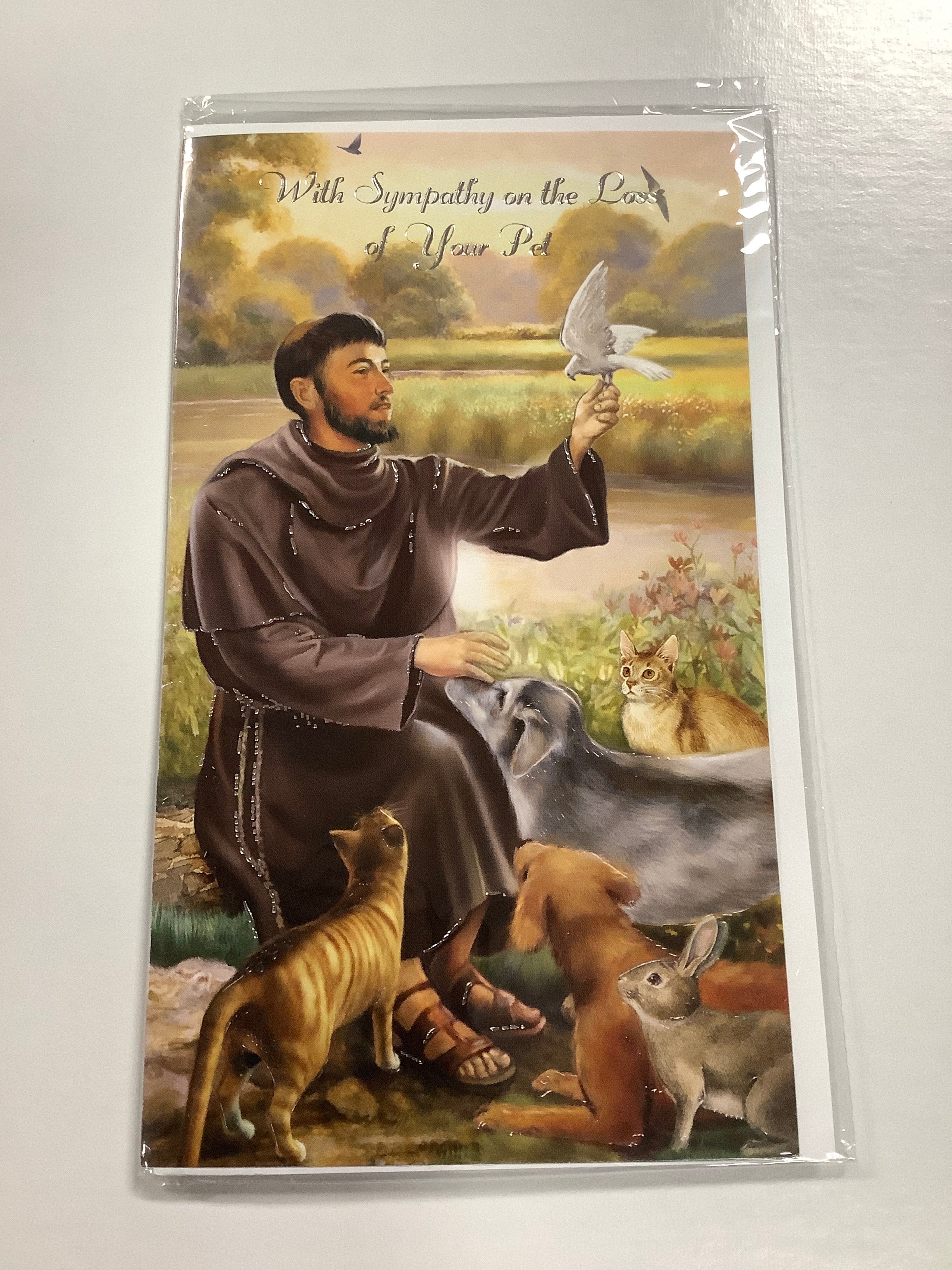 Card/Loss of Pet