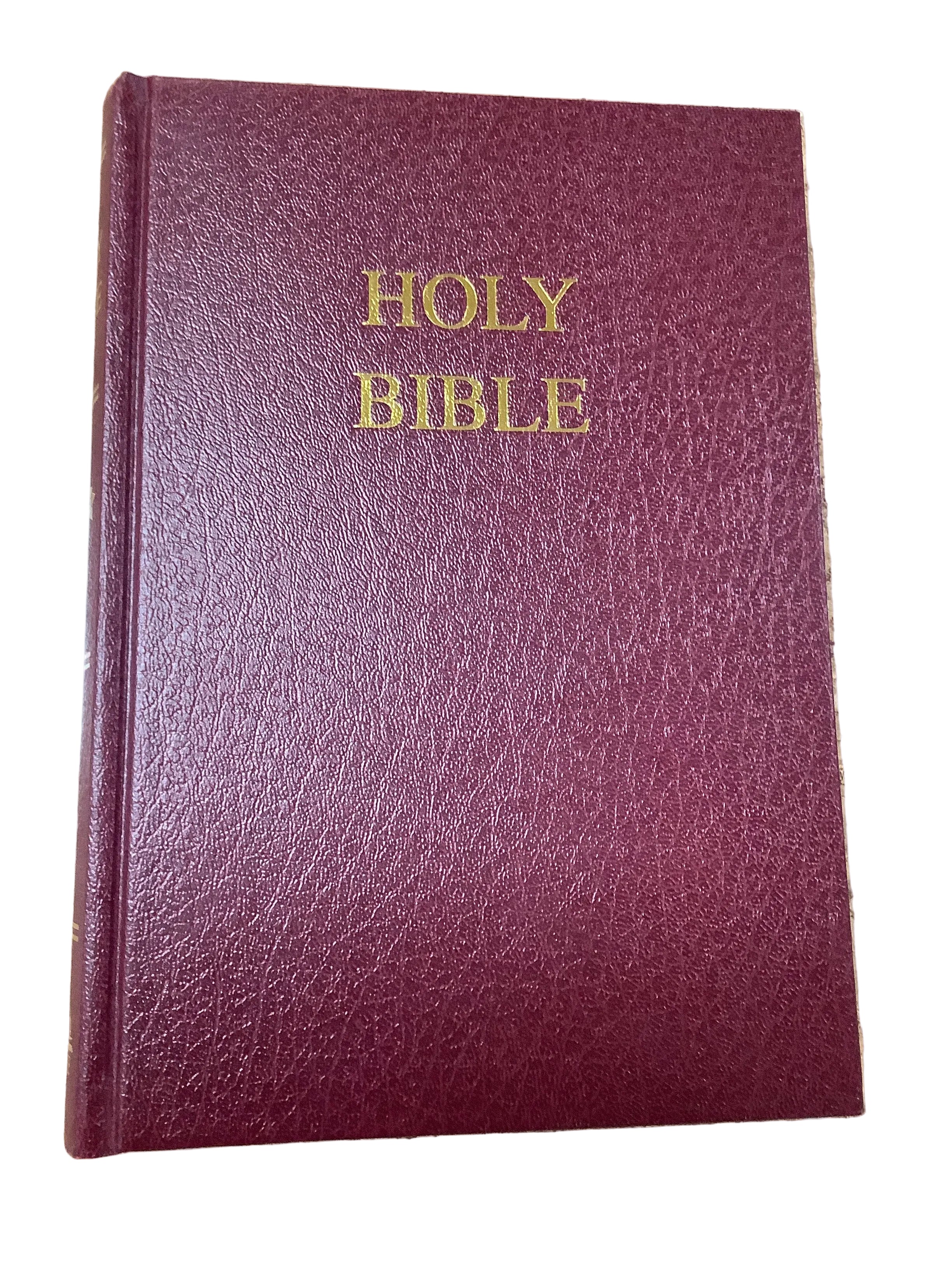Bible/NABRE/School/Lrg Print