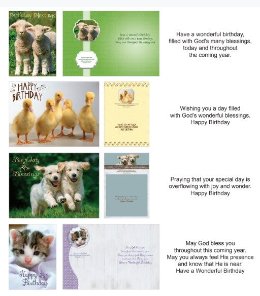 Boxed Cards/Birthday/SBEG22291