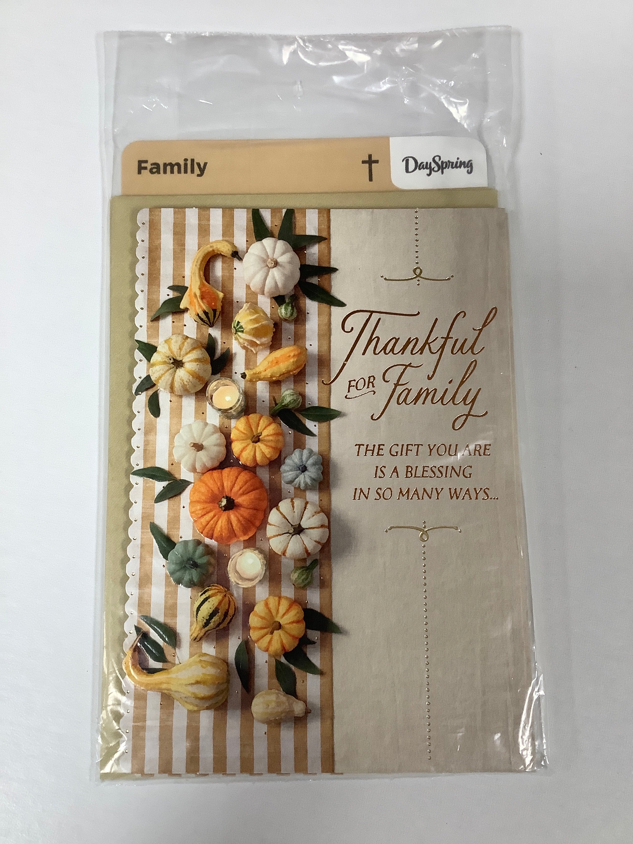 Card-Family-Thanksgiving-Pumpkins On Table-J9627