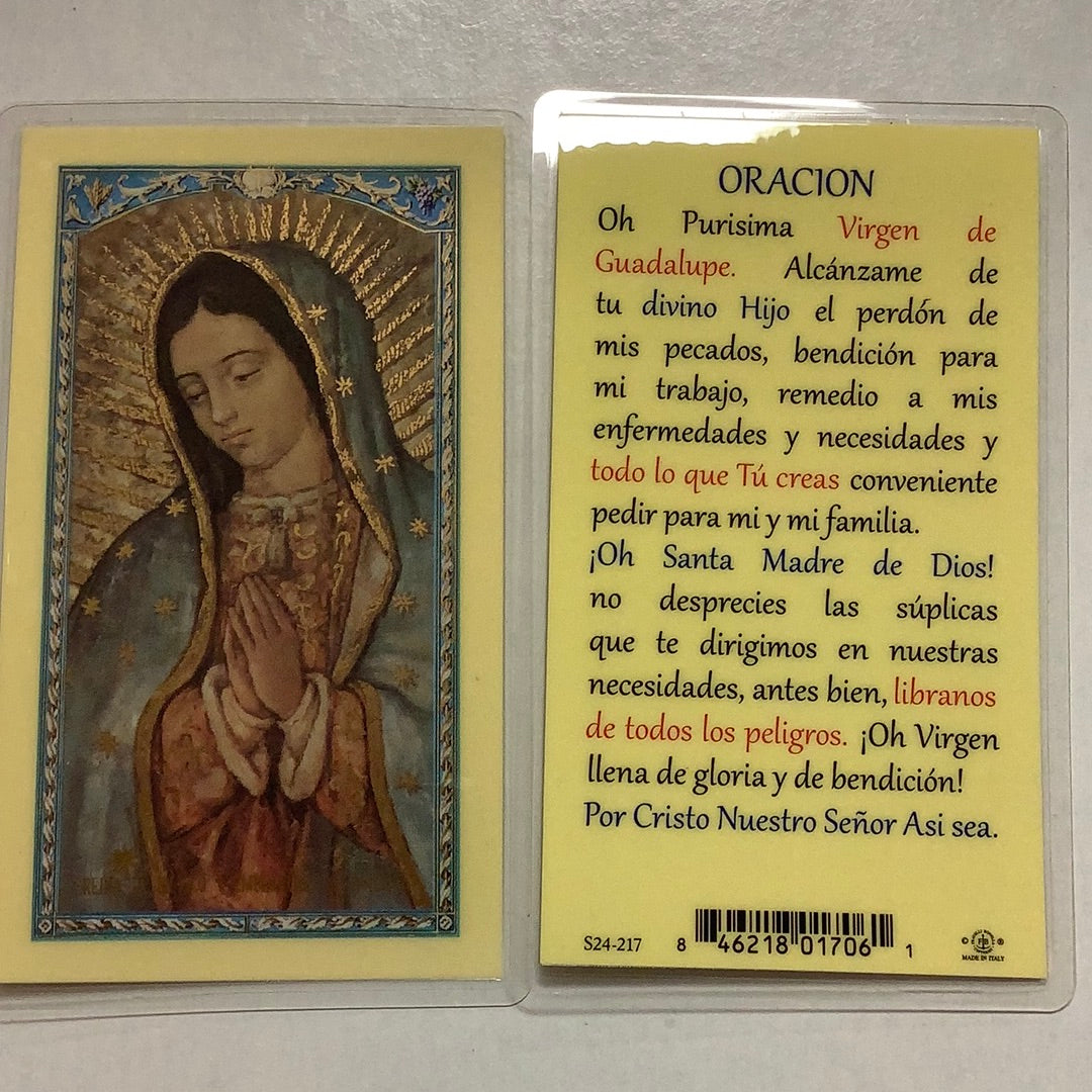 BM-laminated-Virgen de Guadalupe-S24-217