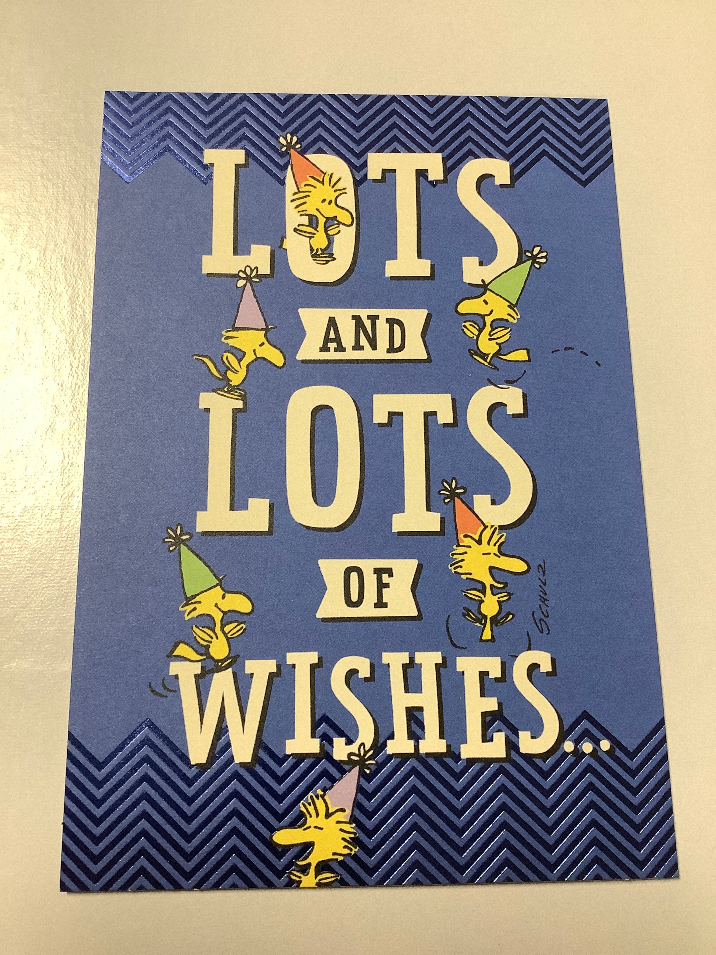 Card-Flex-Peanuts-Birthday-U4332