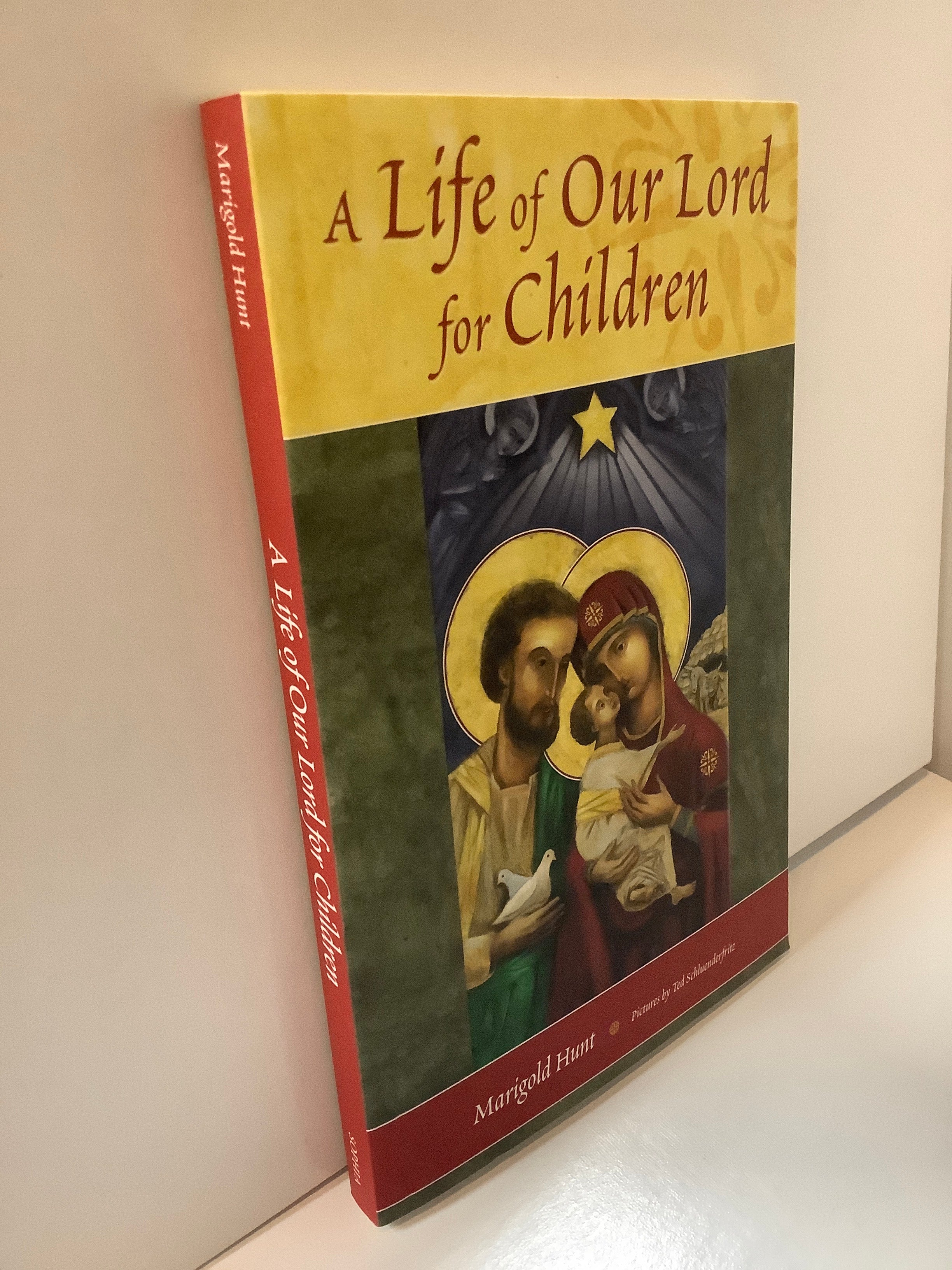 Book/A Life of Our Lord for Chi