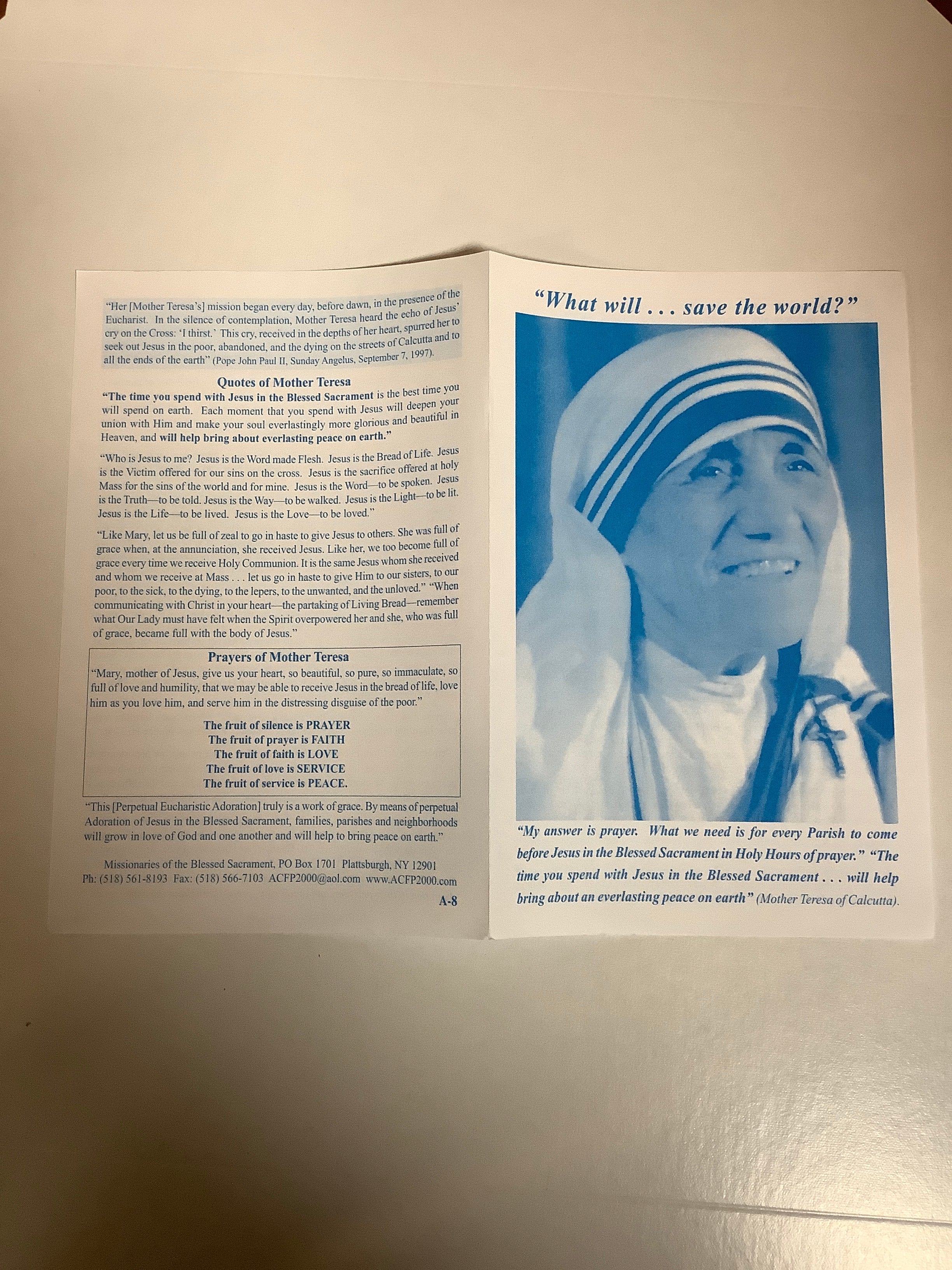 Pamphlet-What Will Save The World-Mother Teresa A-8 Pamphlet