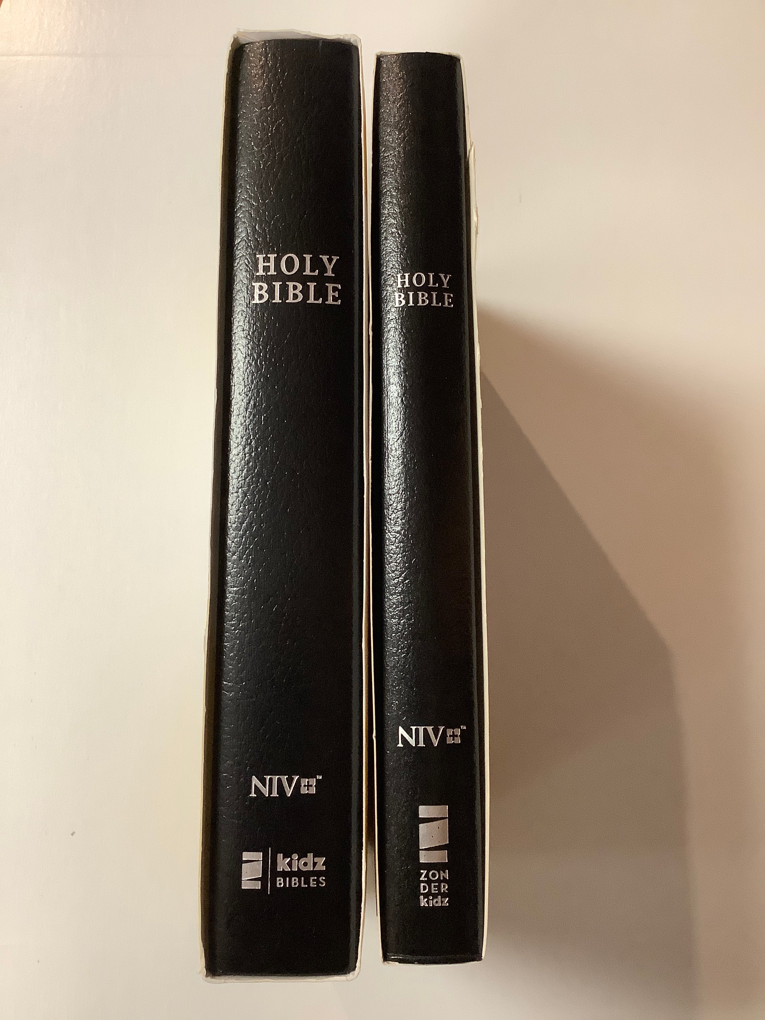 Bible/NIV/CP/G & A/Black