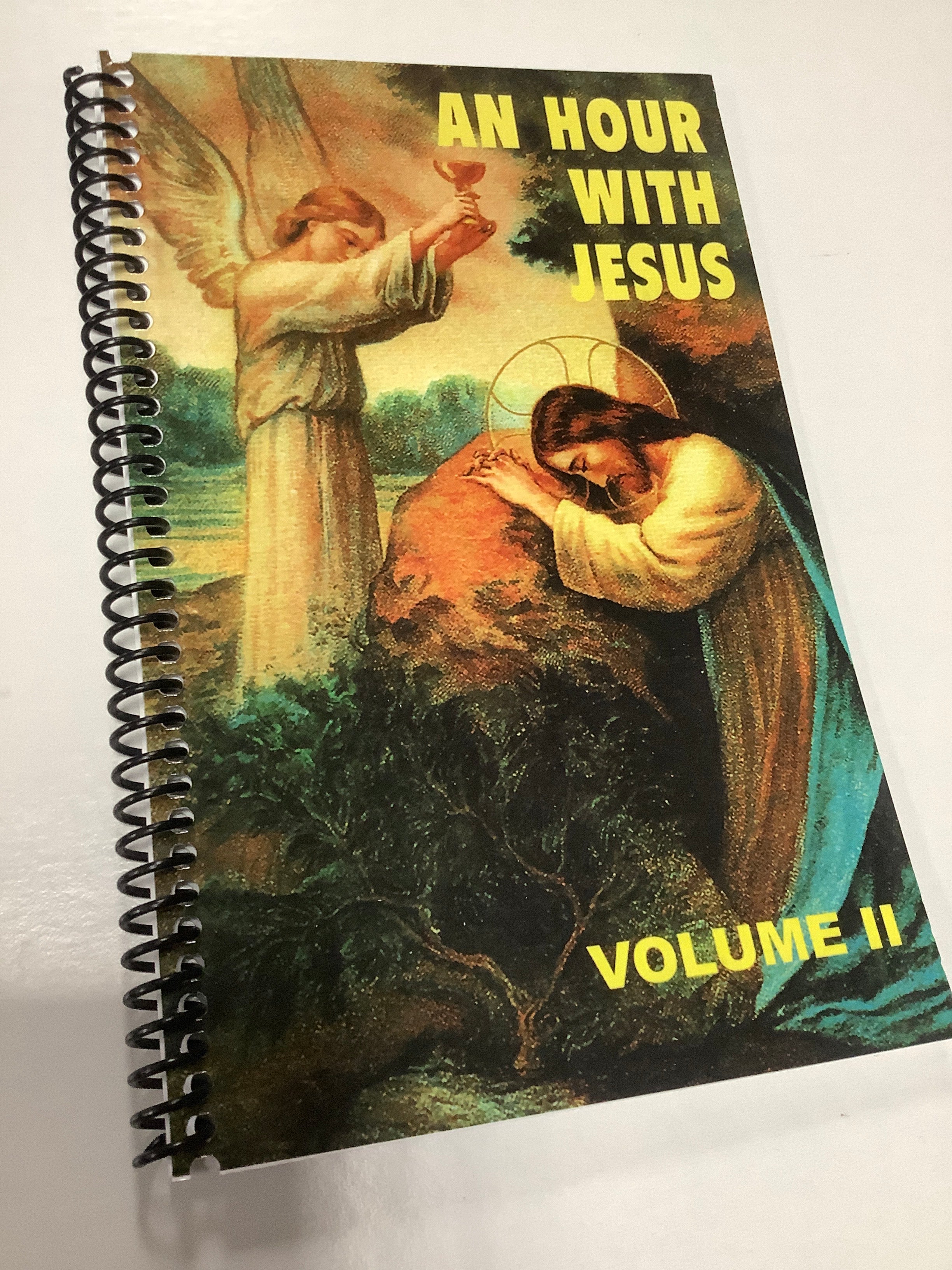 Book/An Hour With Jesus Vol II