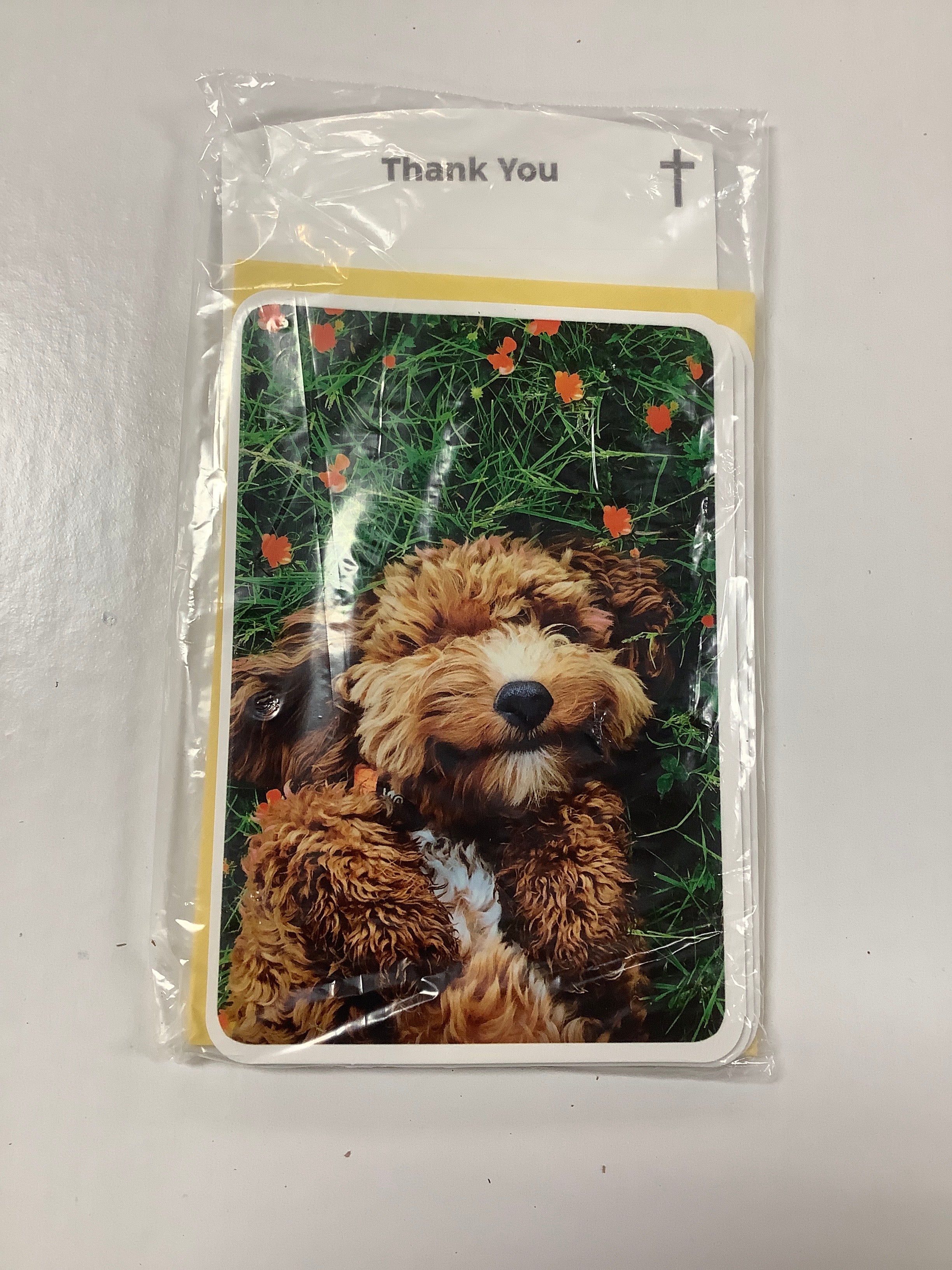 Card-Thank You-U4890-(WH10)