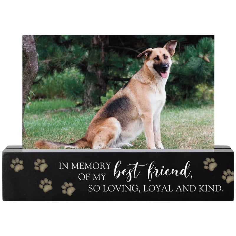 Frame-Photo Bar-Grief-Pet