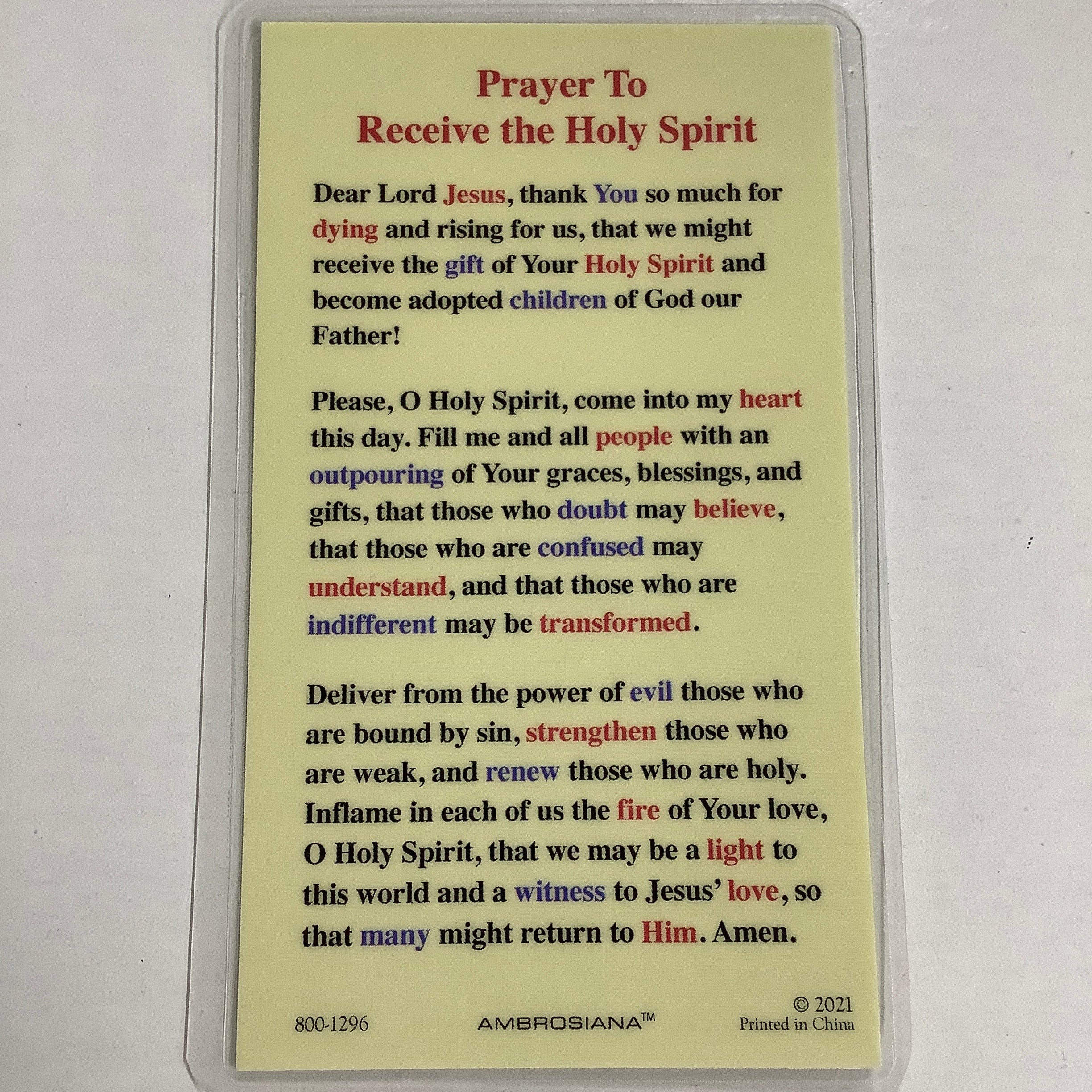 BM-Laminated-Christ w/Dove-800-1296