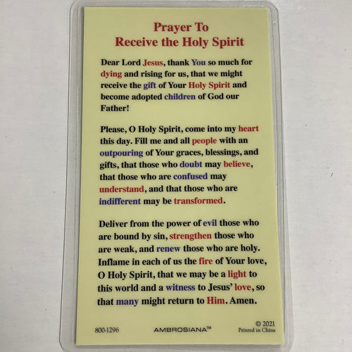 BM-Laminated-Christ w/Dove-800-1296