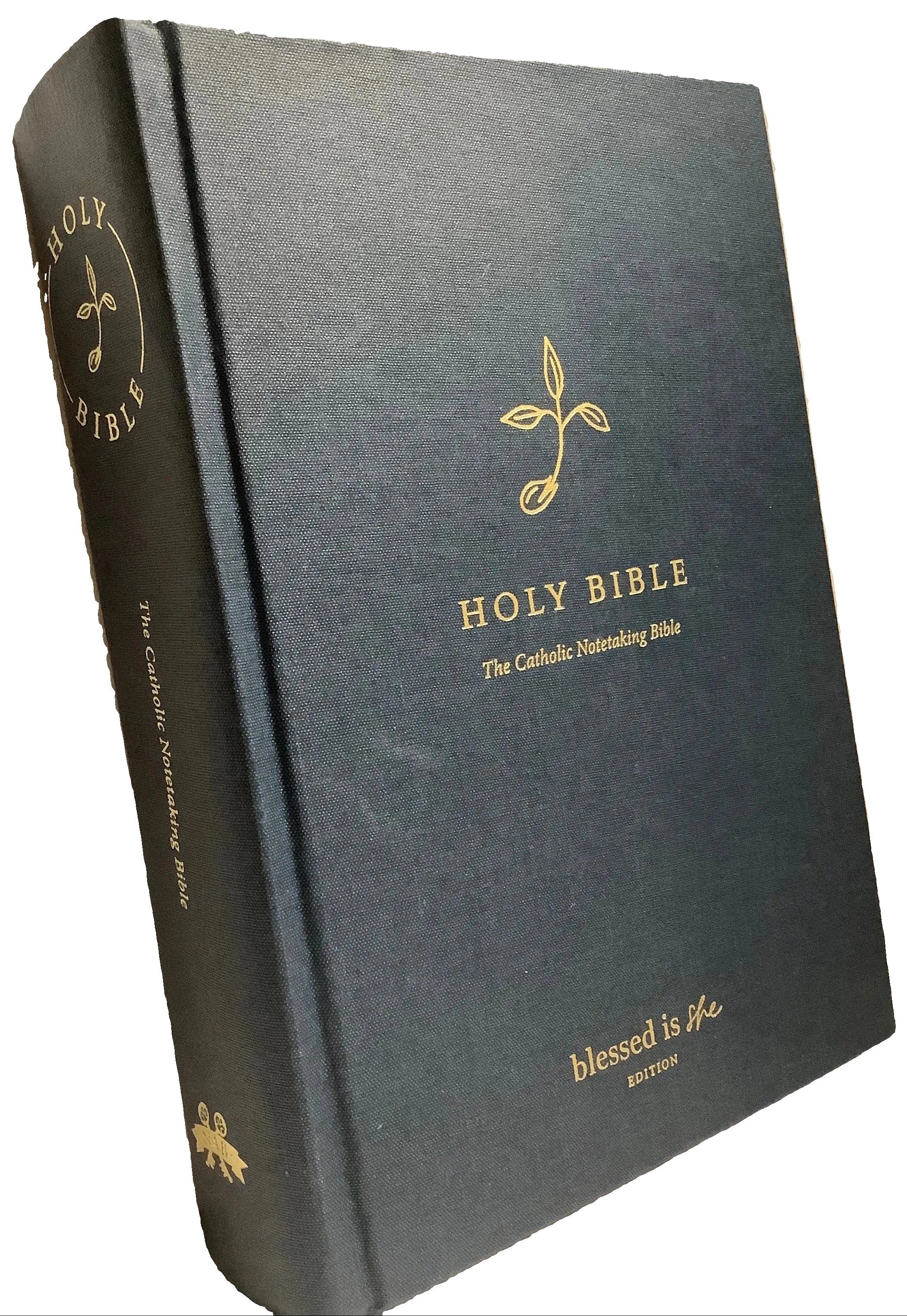 Bible-NABRE-Journaling