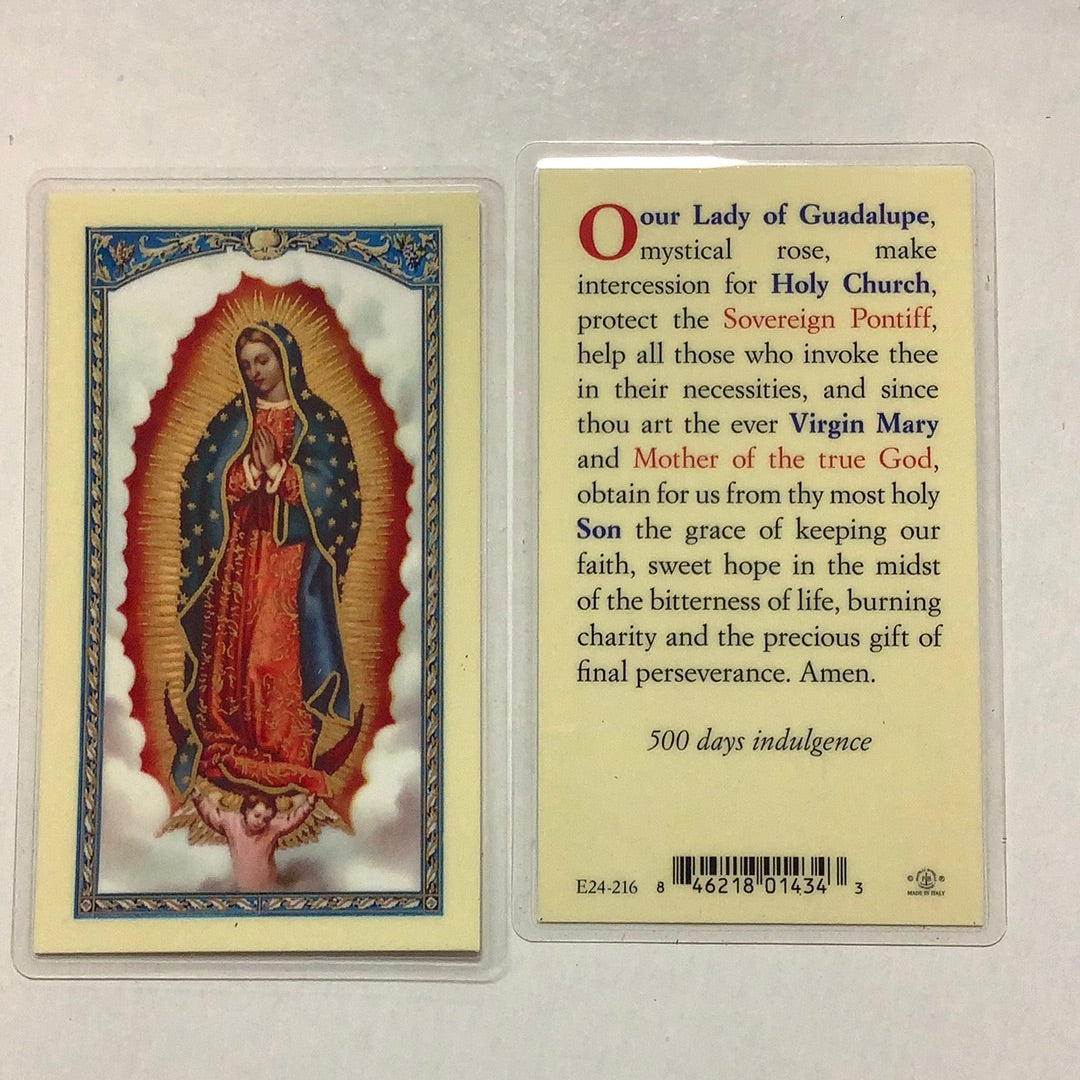 BM-laminated-Lady of Guadalupe-E24-216