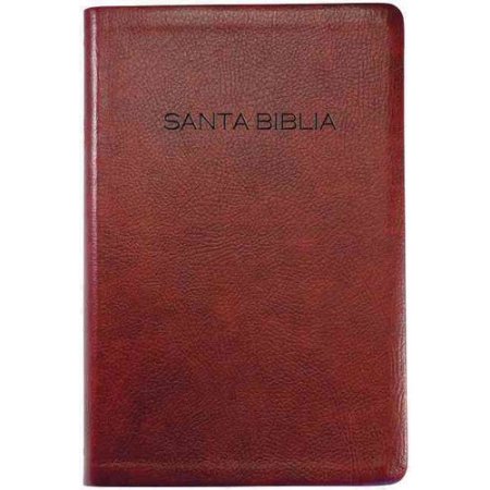 Bible/Spanish/NVI/Regalo/BRUG