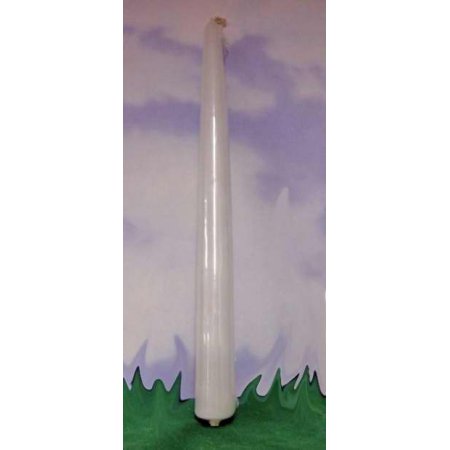 Candles/Taper/White/10"