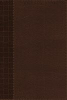 Bible-NIRV-GP-Compact-Brown