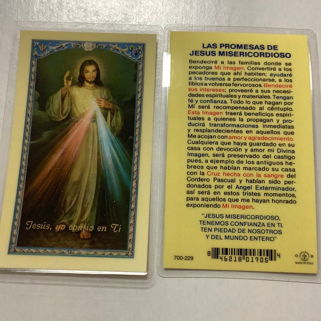 BM-laminated-Las Promesas De Jesus Misericordioso-700-229