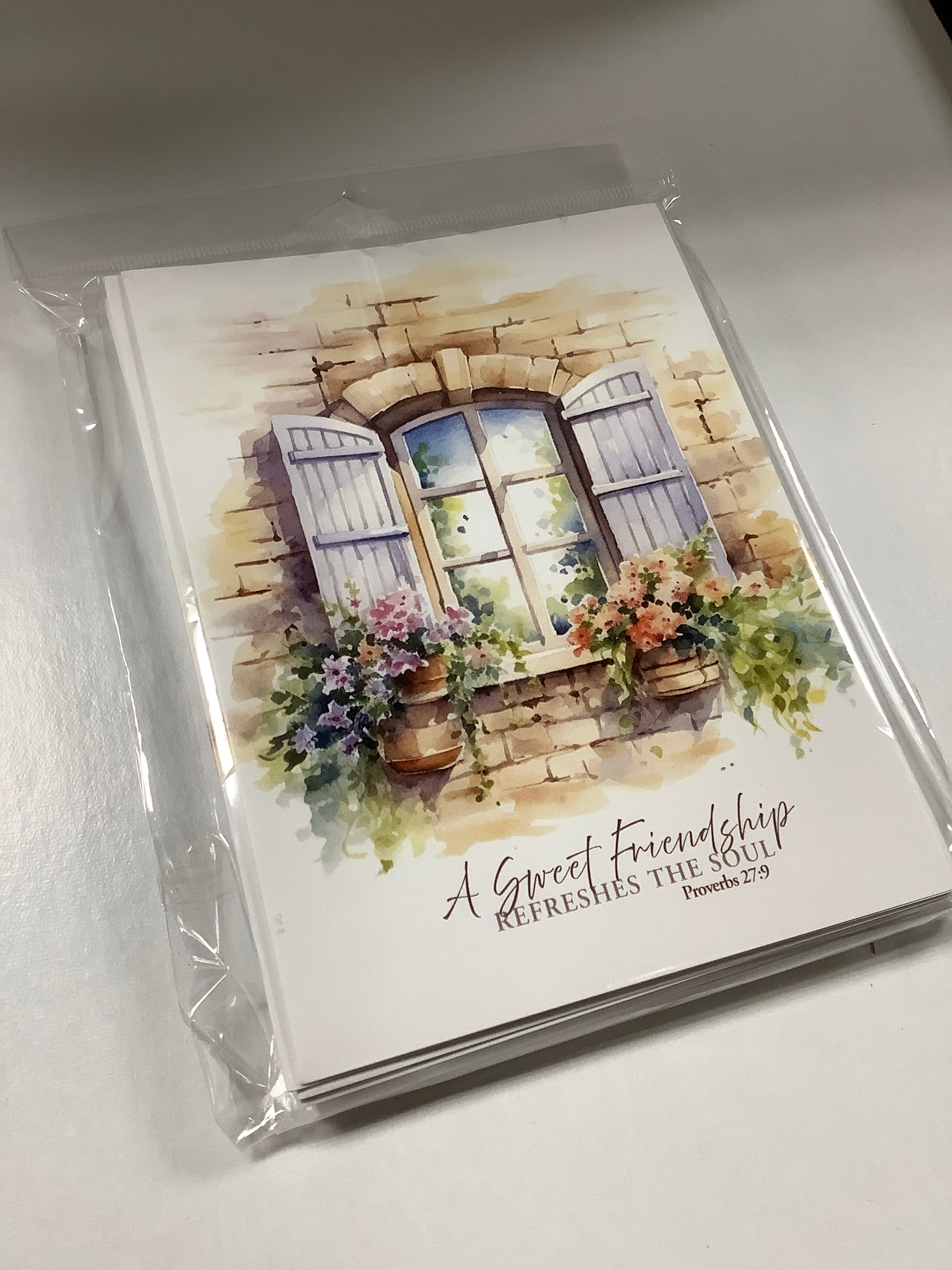 Notecard-Friendship Windows-Pack Of 12