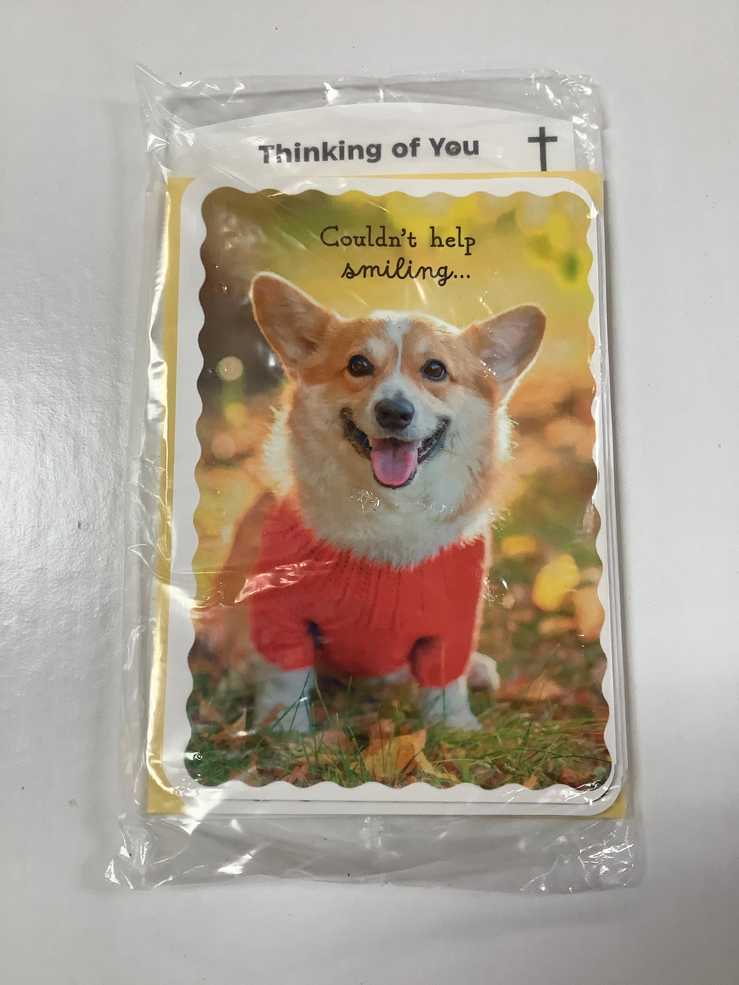 Card-Thinking Of You-U4889-(WH12)