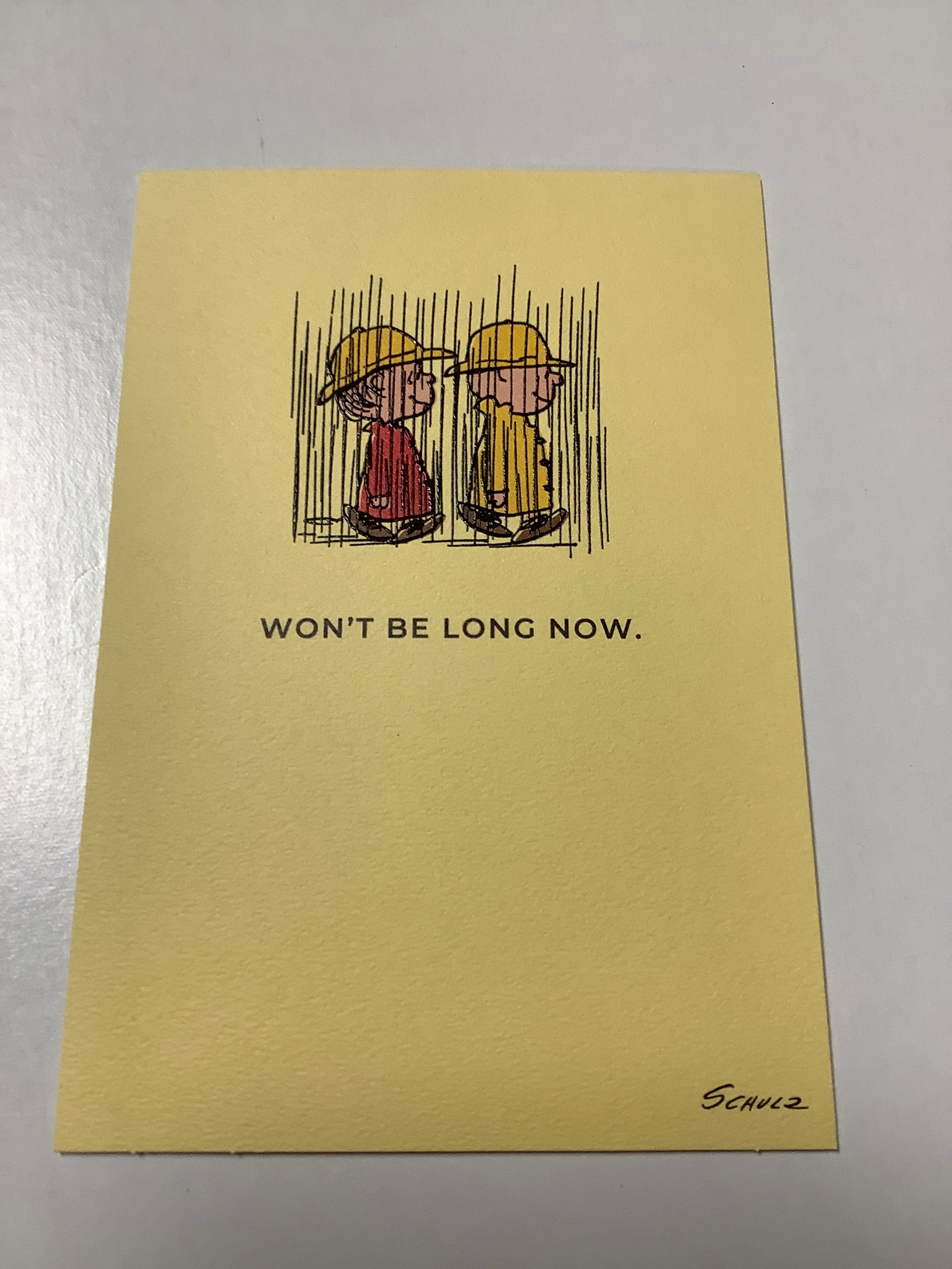 Card-Flex-Peanuts-Encouragement-U4343