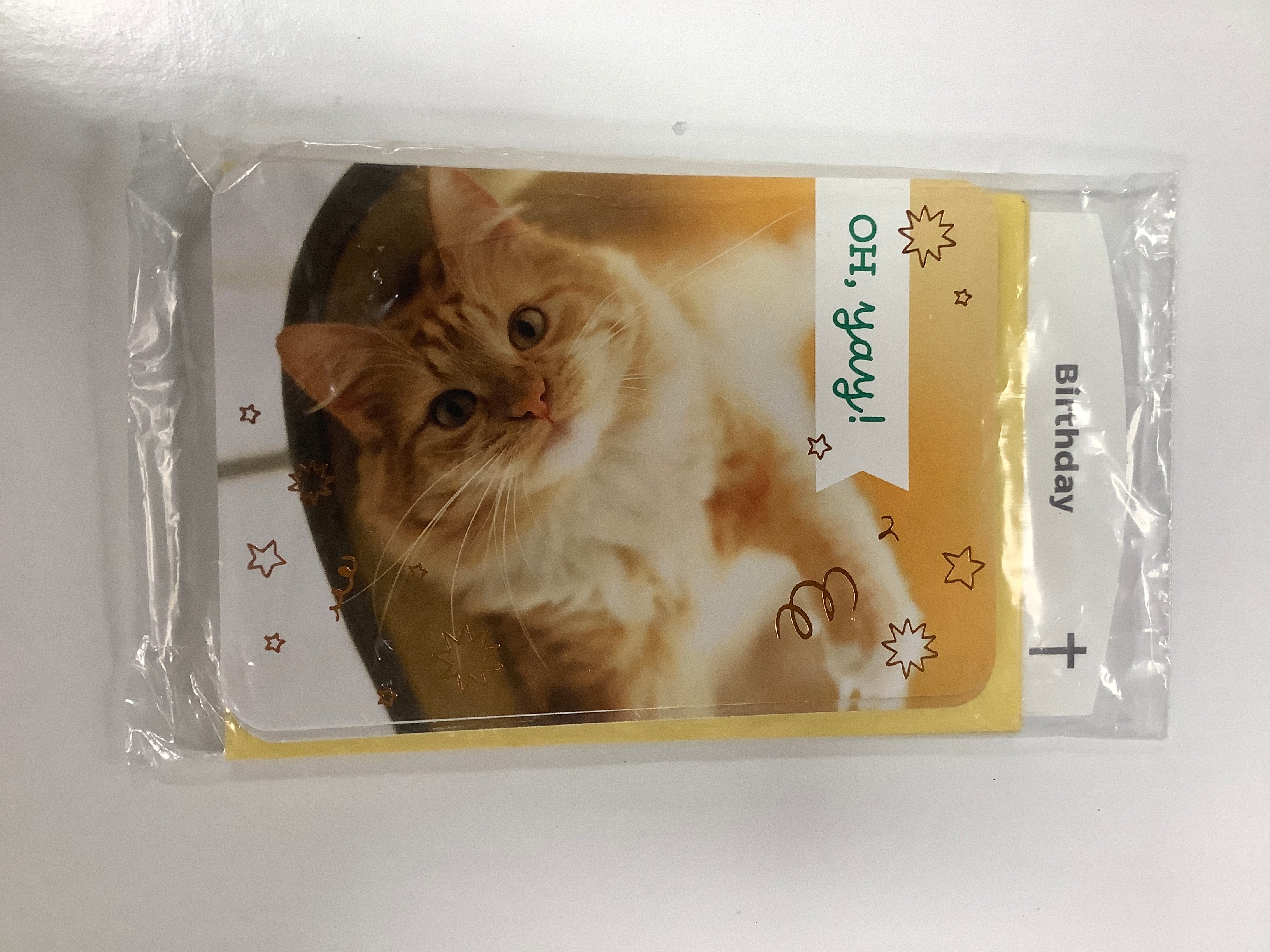Card-Birthday-U4876-(WH09)
