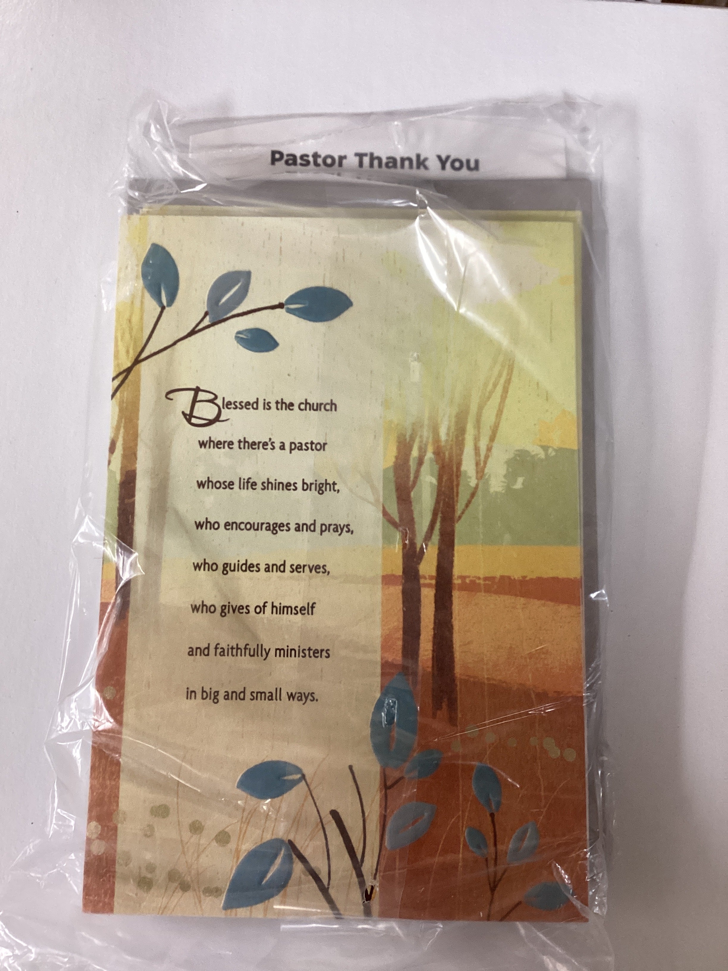 Card/Pastor Thank You/11752