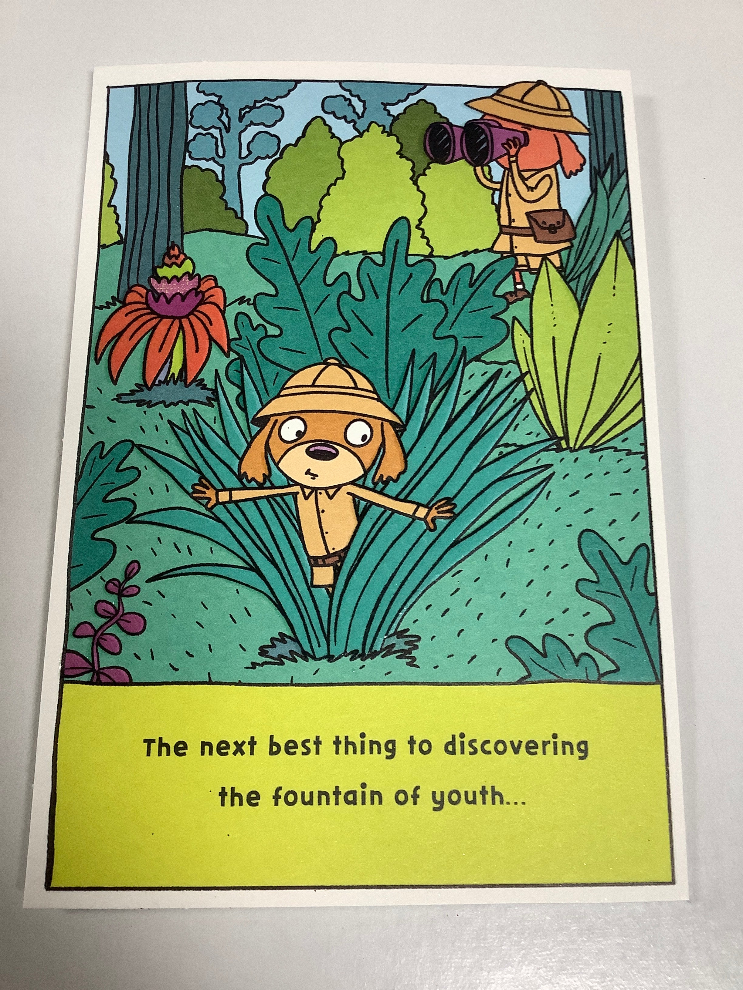 Card-BD-Humor-U0380
