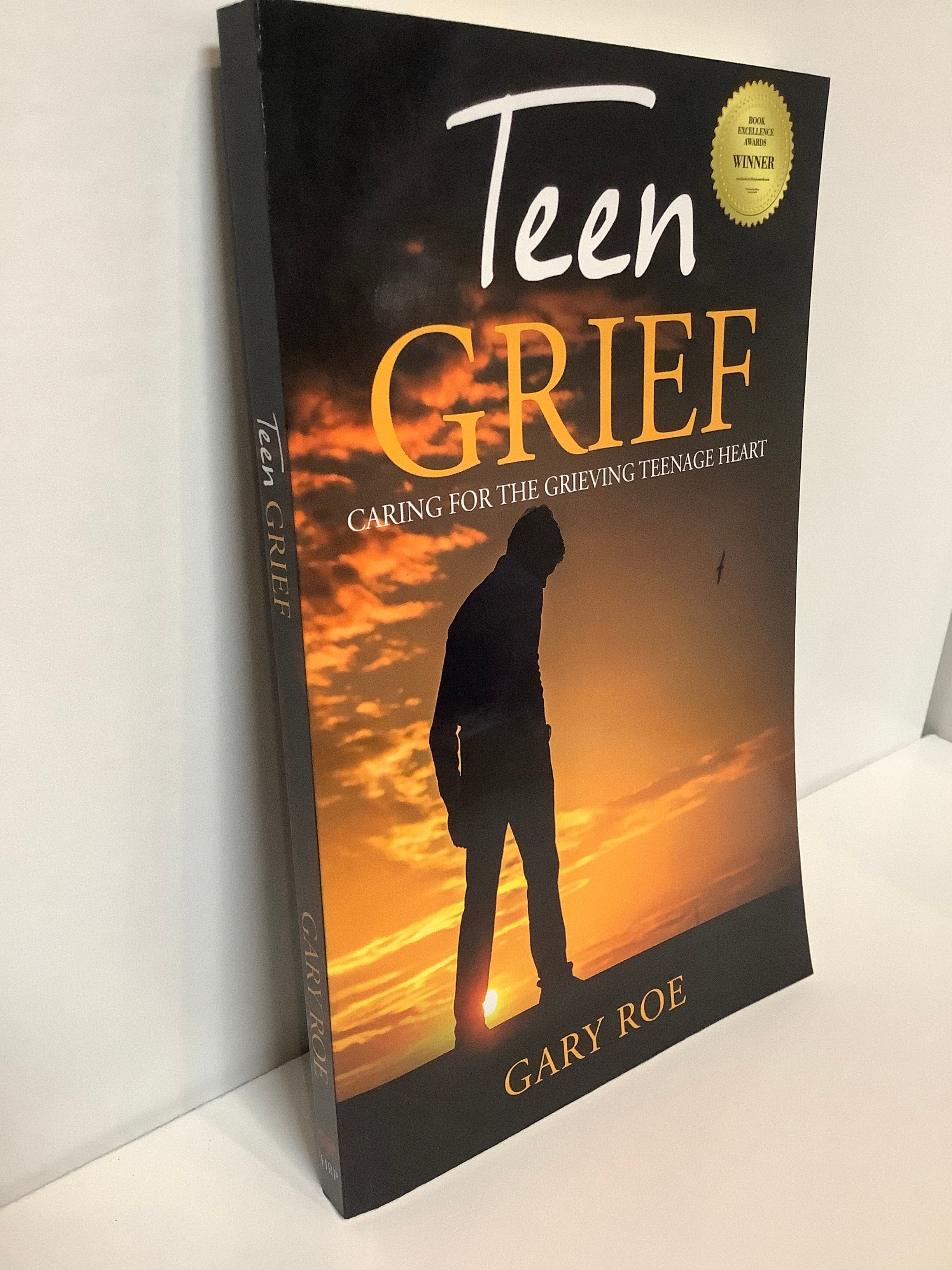 Book-Teen Grief-Gary Roe