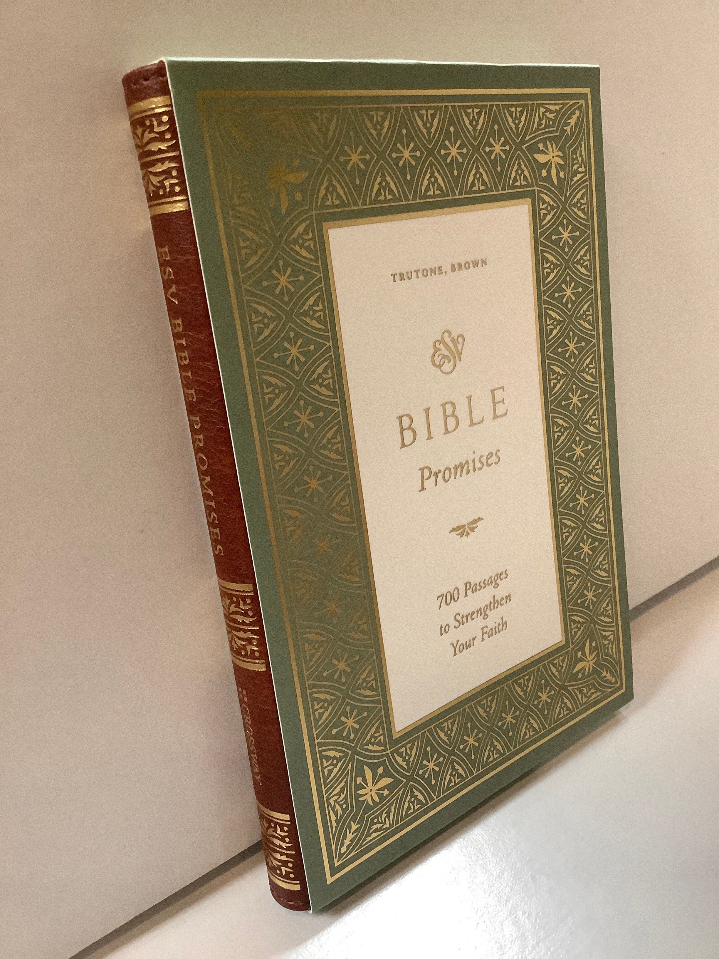 Book-ESV Bible Promises-Brown