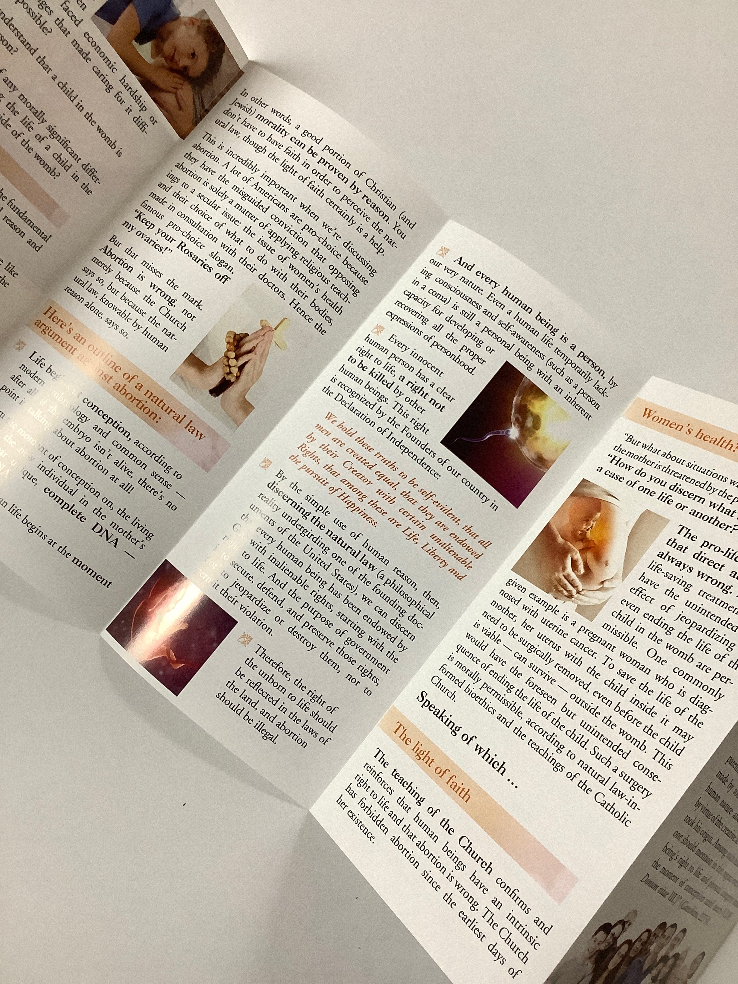 Pamphlet/The Truth About Abortion