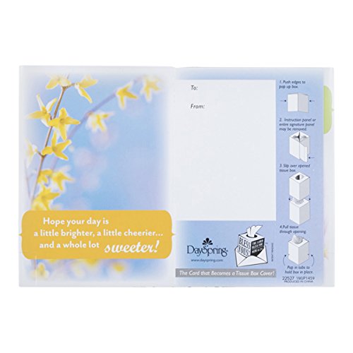 Card/Joy/Tissue Box/22527