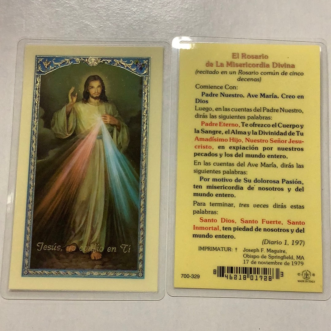 BM-laminated-El Rosario-700-329