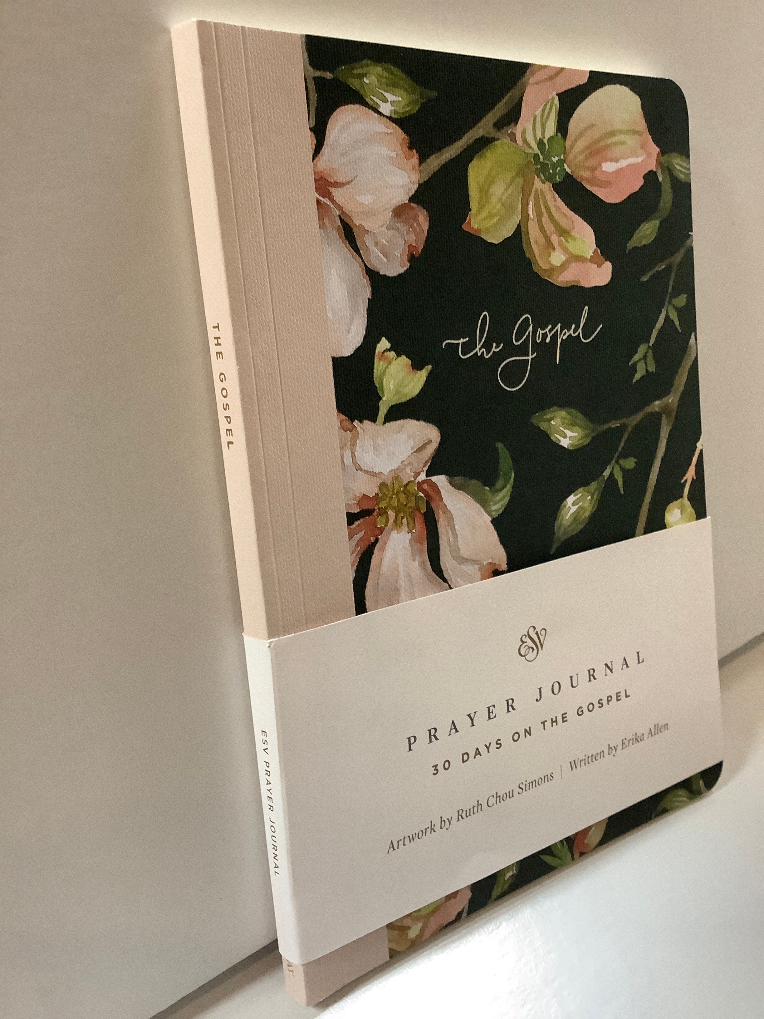 Journal/3 Days on the Gospel