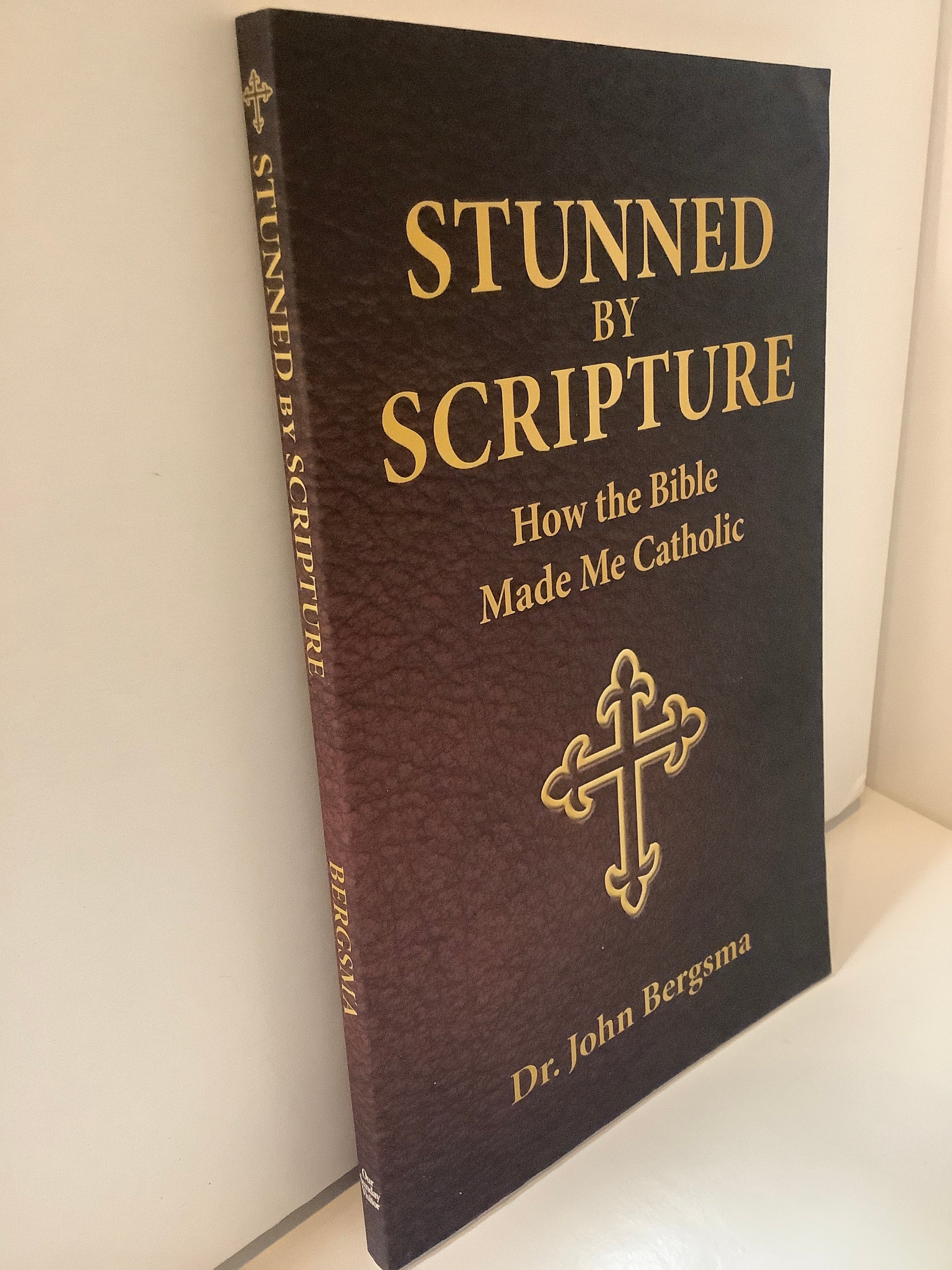 Book/Catholic/Stunned By Scripture