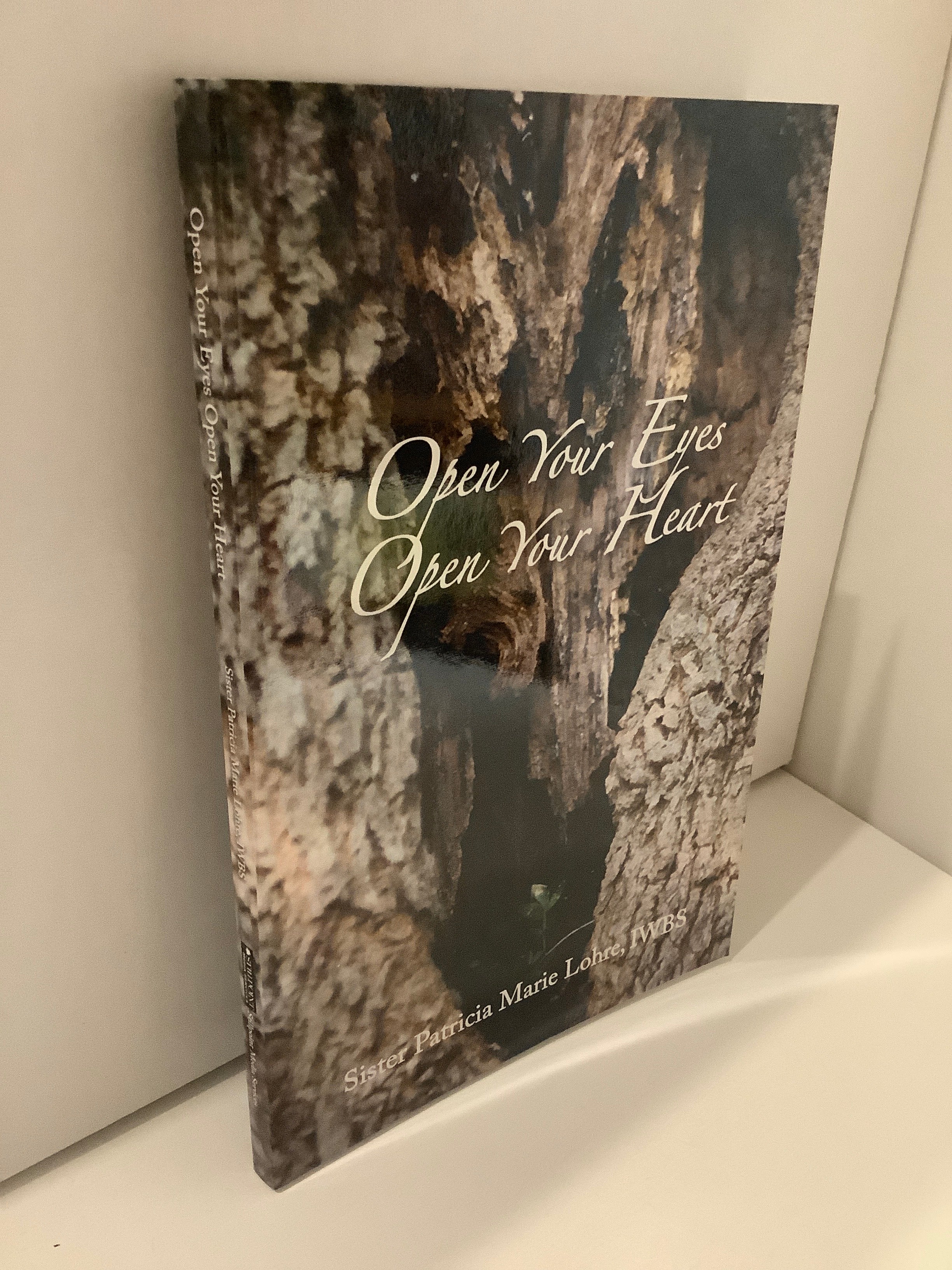 Book/Open Your Eyes Open Your H