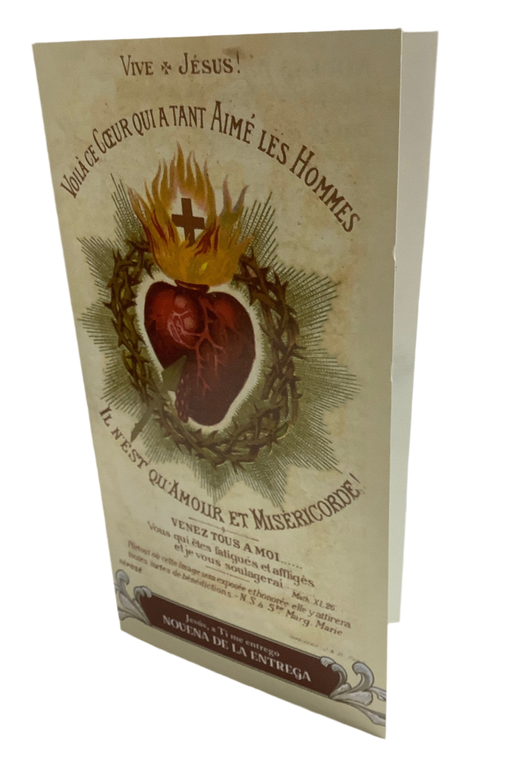 Pamplet/Surrender Novena/Large/Spanish