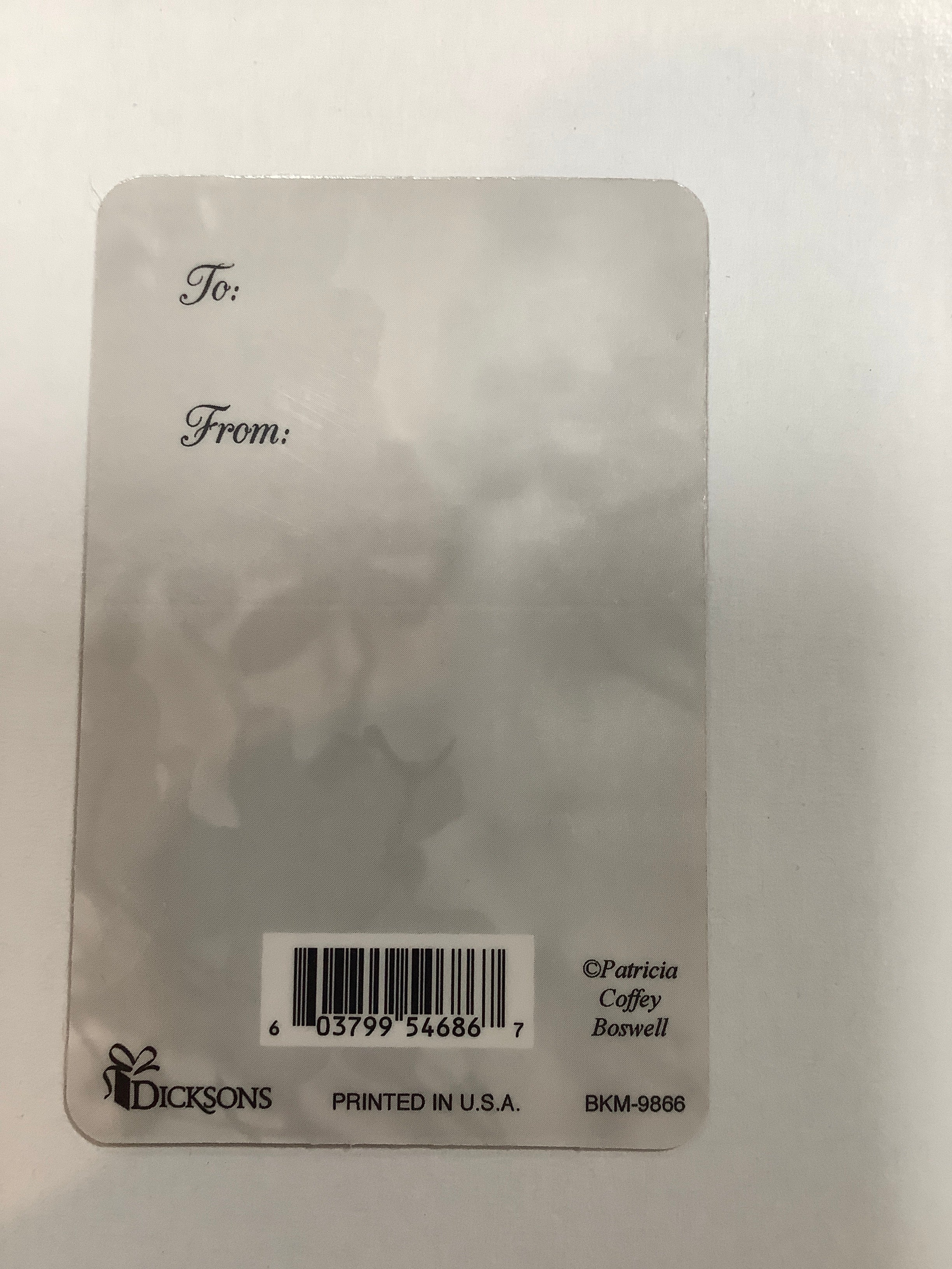Pocket Card/Cradled by God