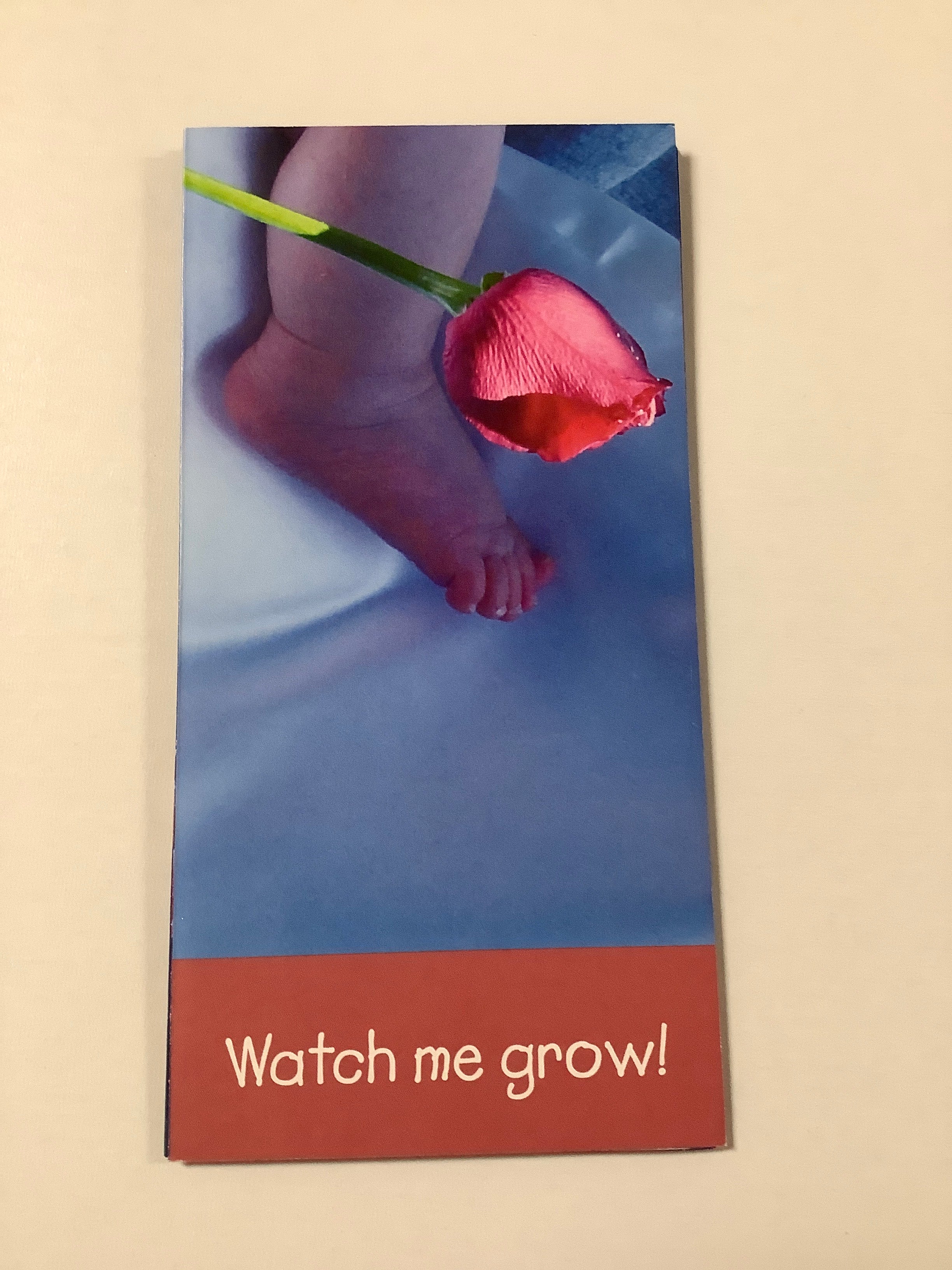 Pamphlet/Watch Me Grow-Abortion