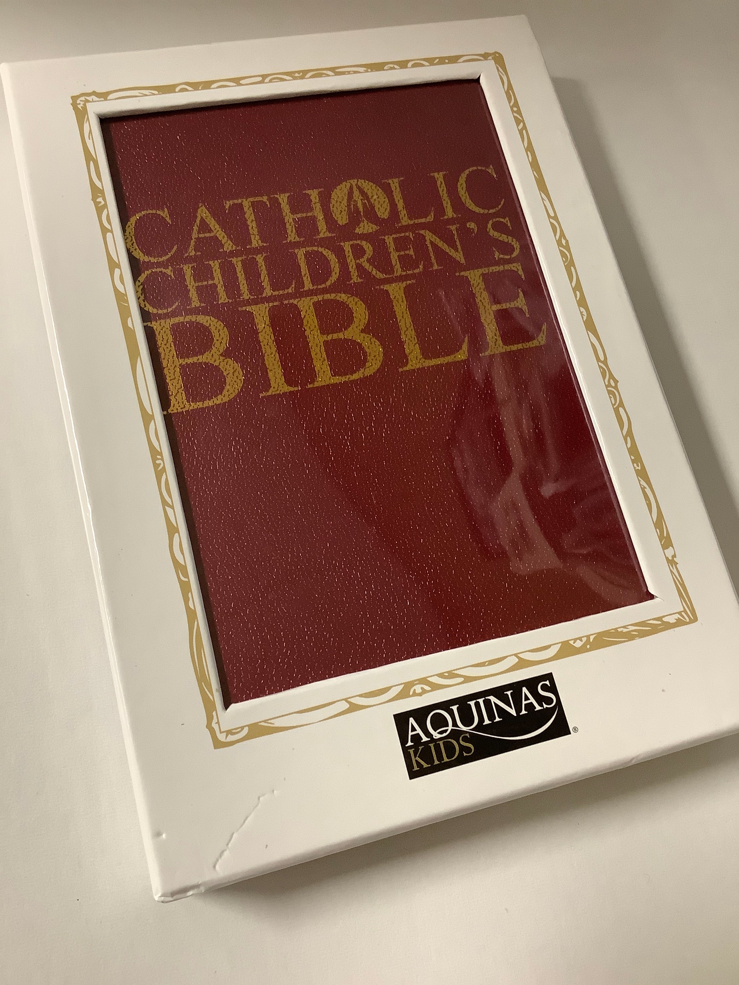 Book/Cath Childrens Bible/Burg