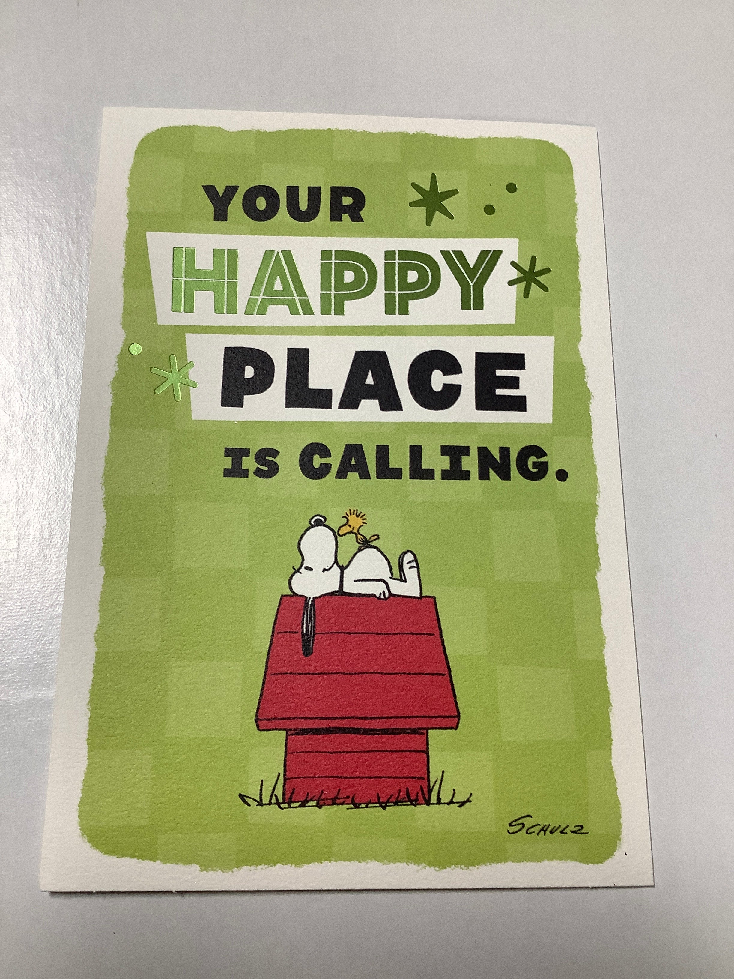 Card-Flex-Peanuts-Encouragement-U4340