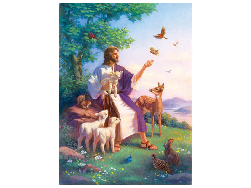 Puzzle/Love For All/500+ Piece